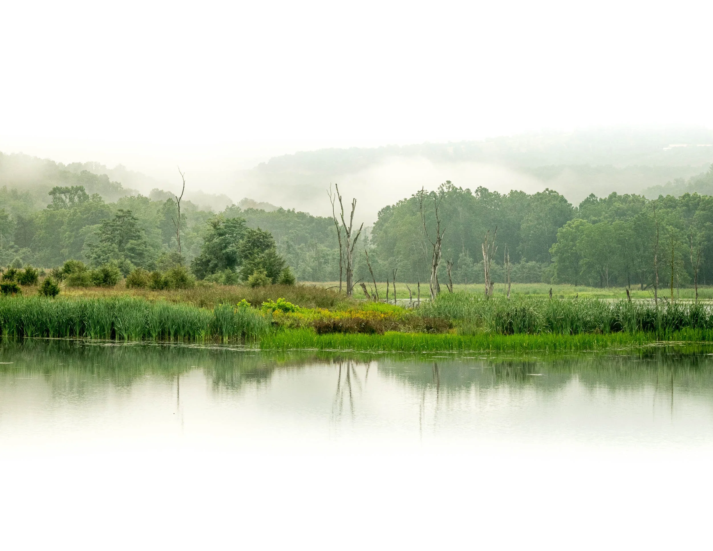 106 Kimsey Run Lake Fog