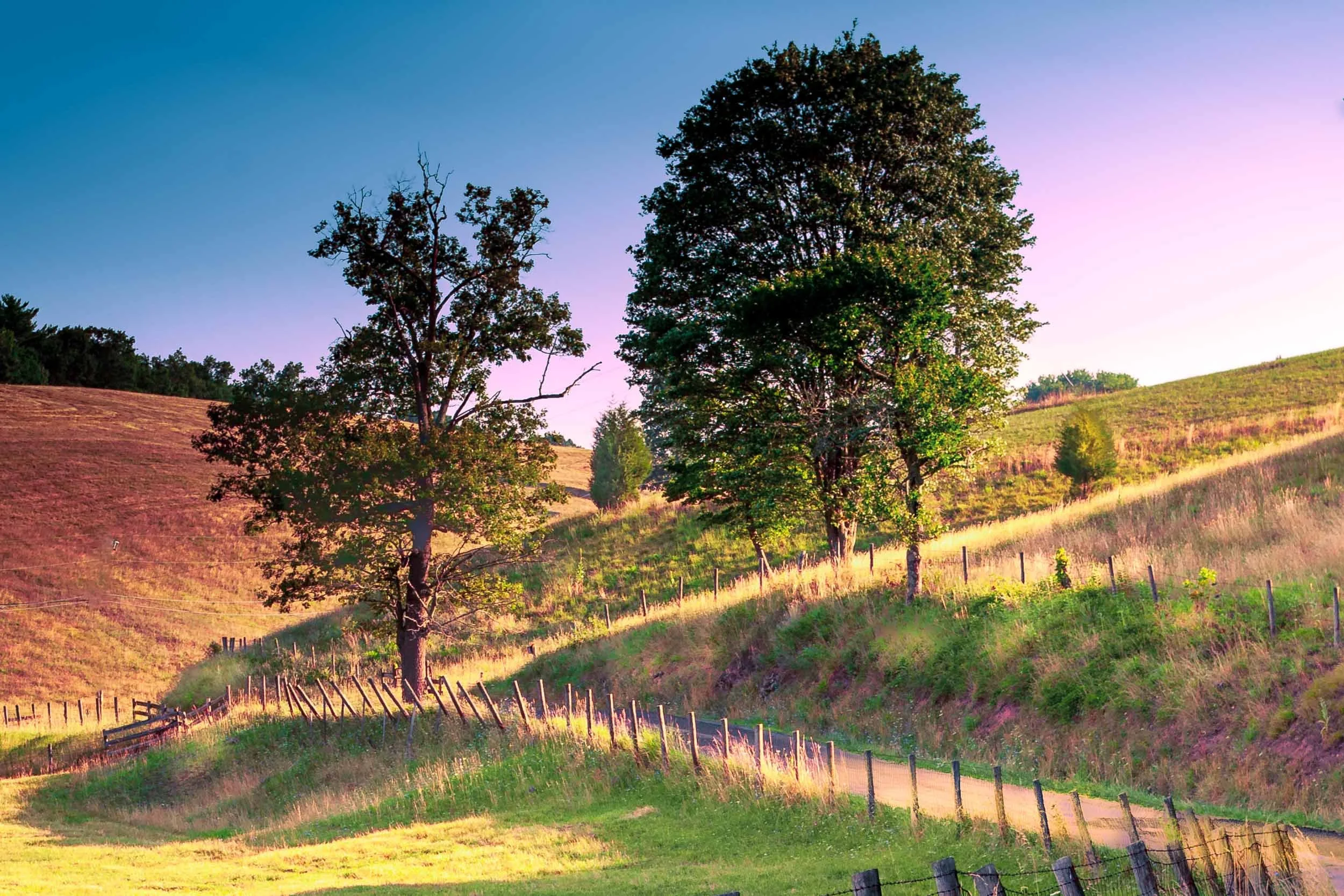 169 Late Summer