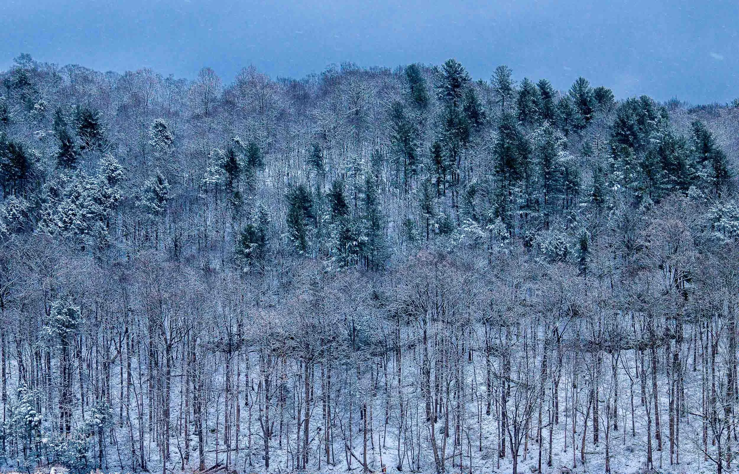 170 Winter Hillside Lost River Valley