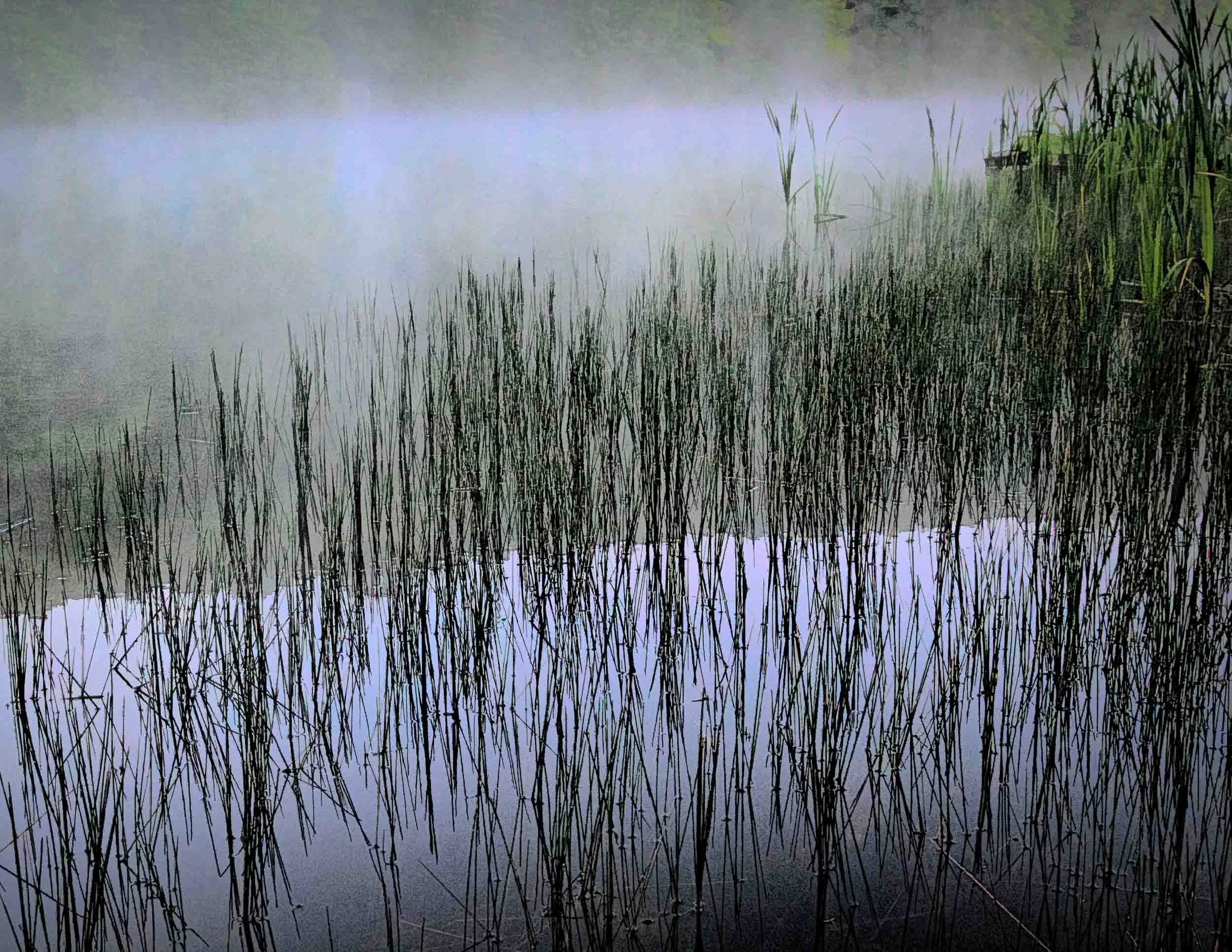 193 Reeds-II