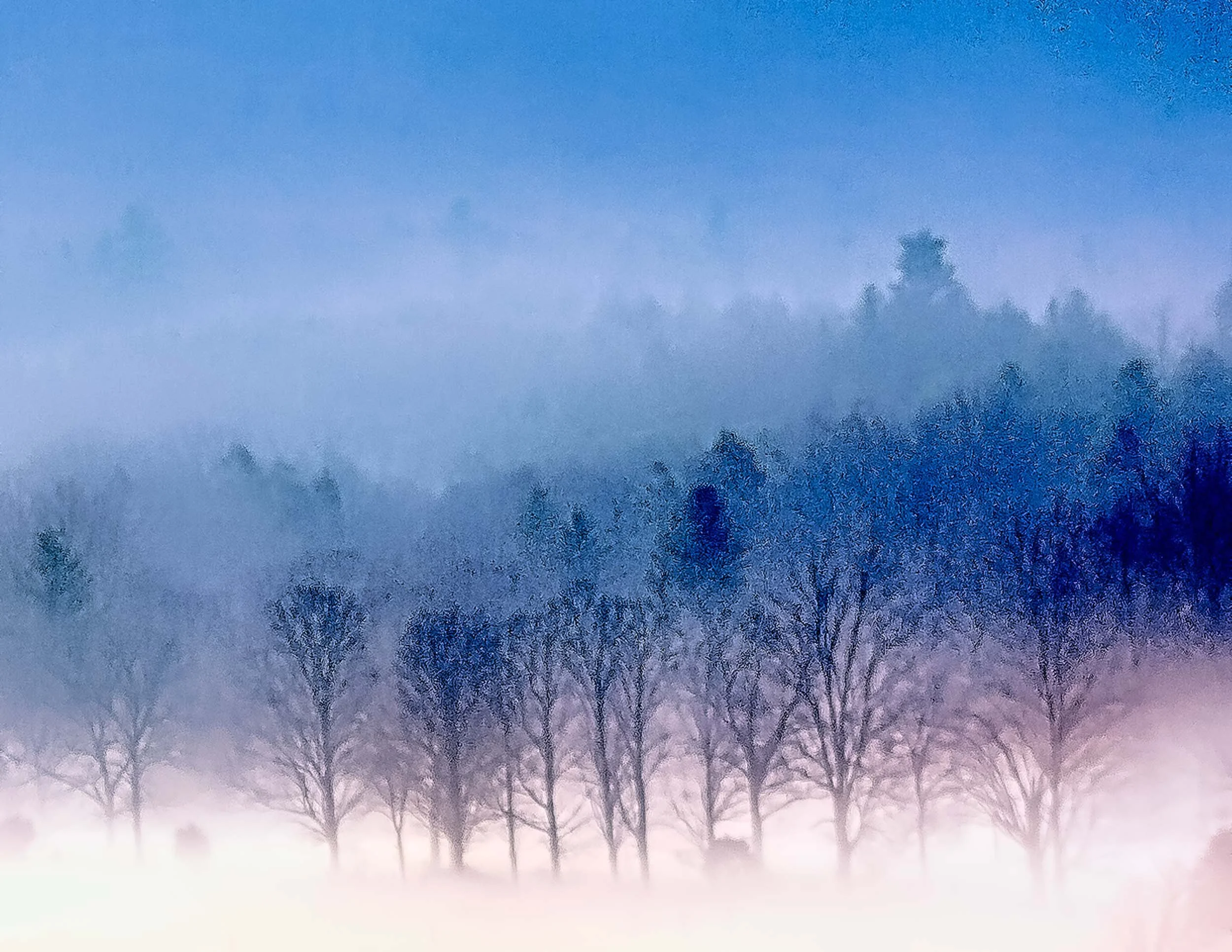 59 Winter Fog