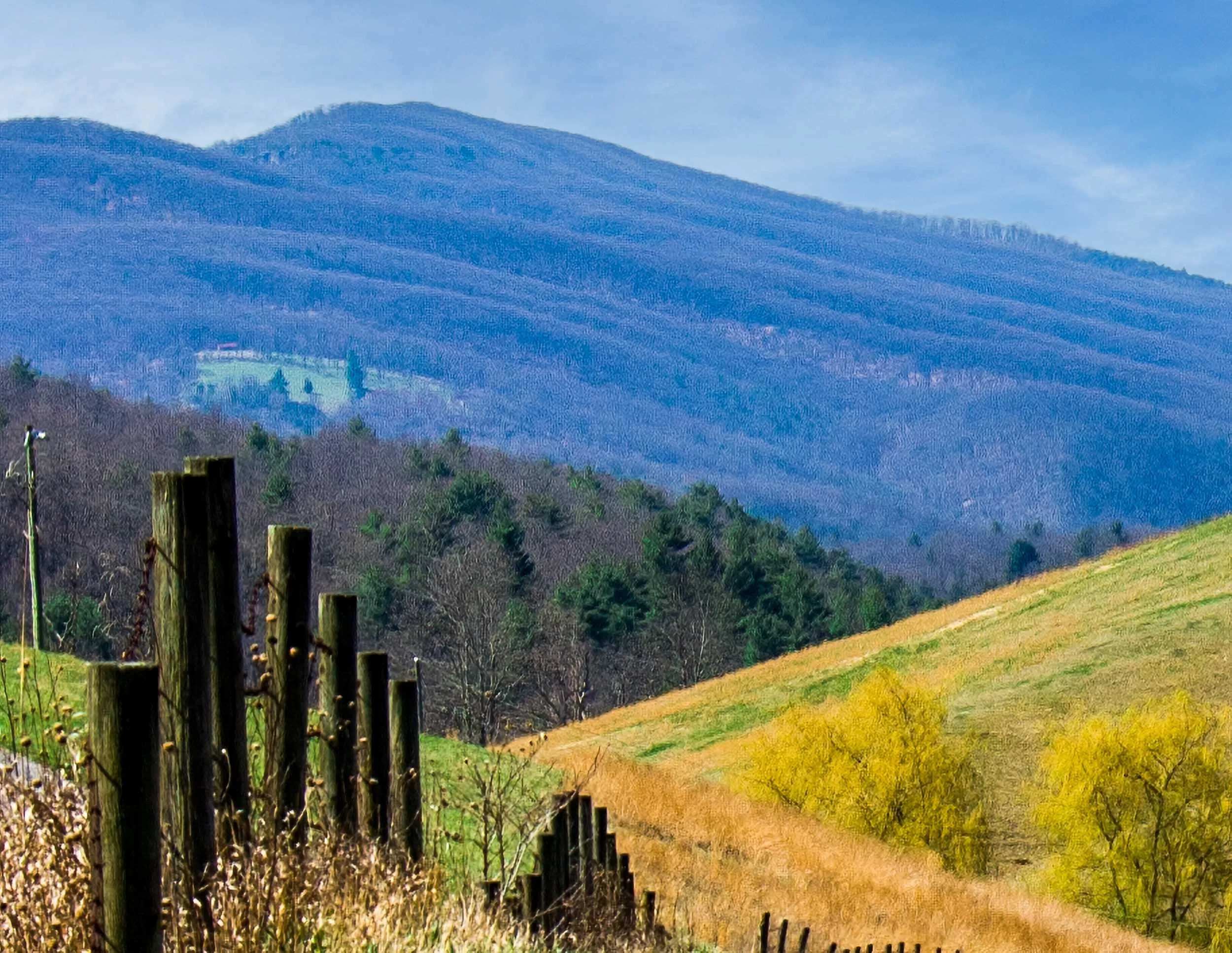 168 Parker Fence III