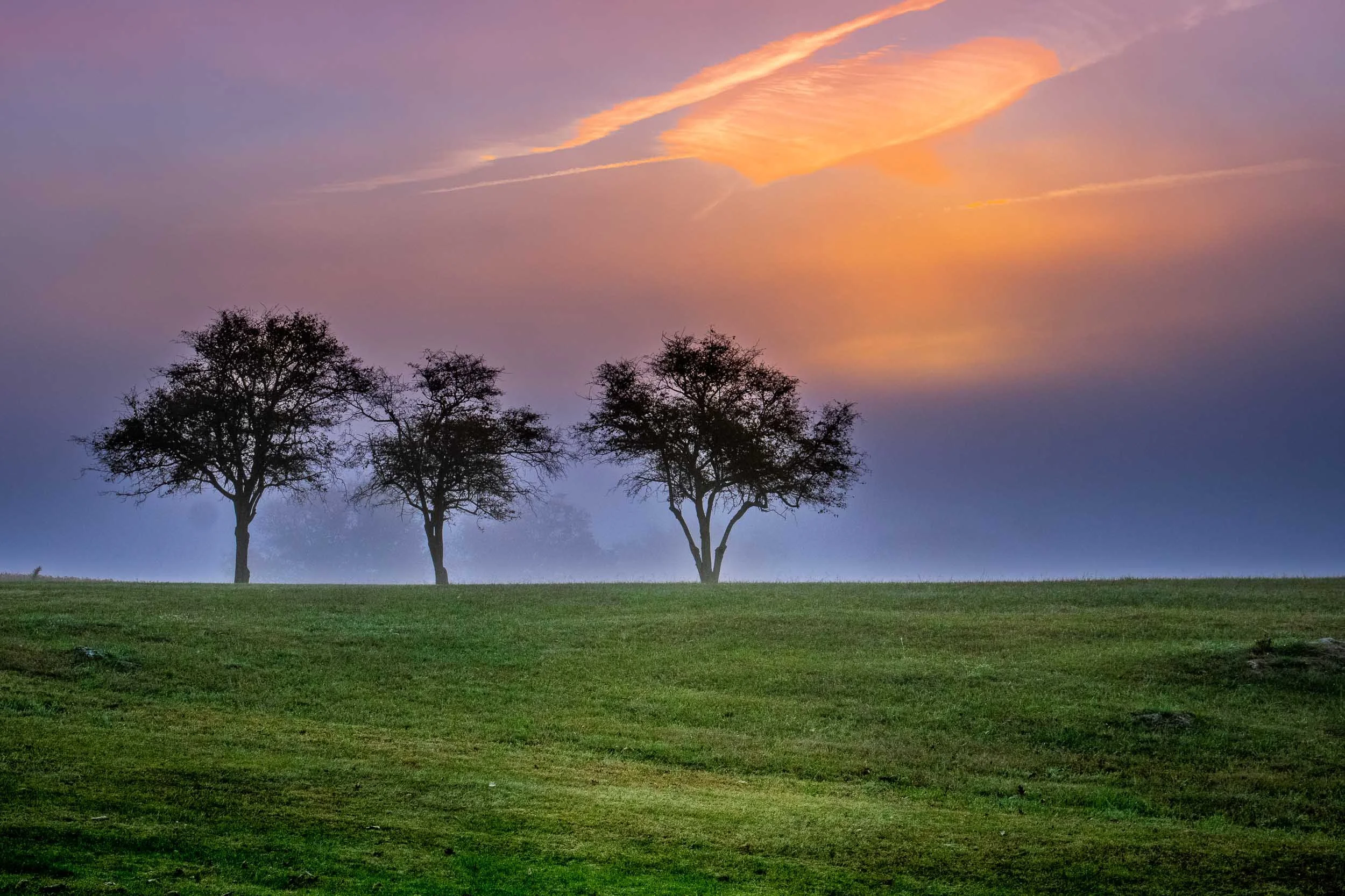 The shape of these three trees contrasted with the flash of dawn in the cloudy autumn sky