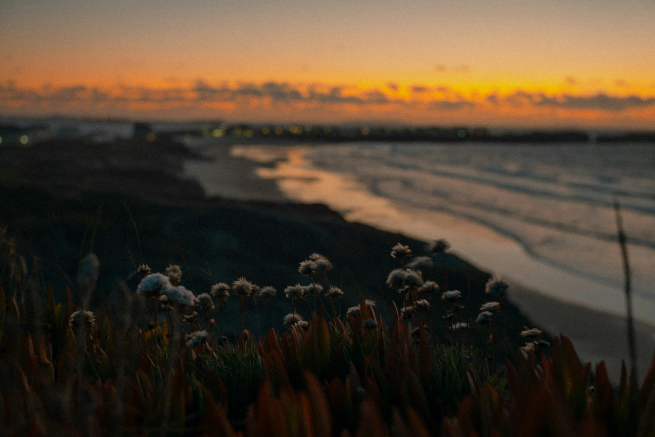 Becoming Acquainted With Myself