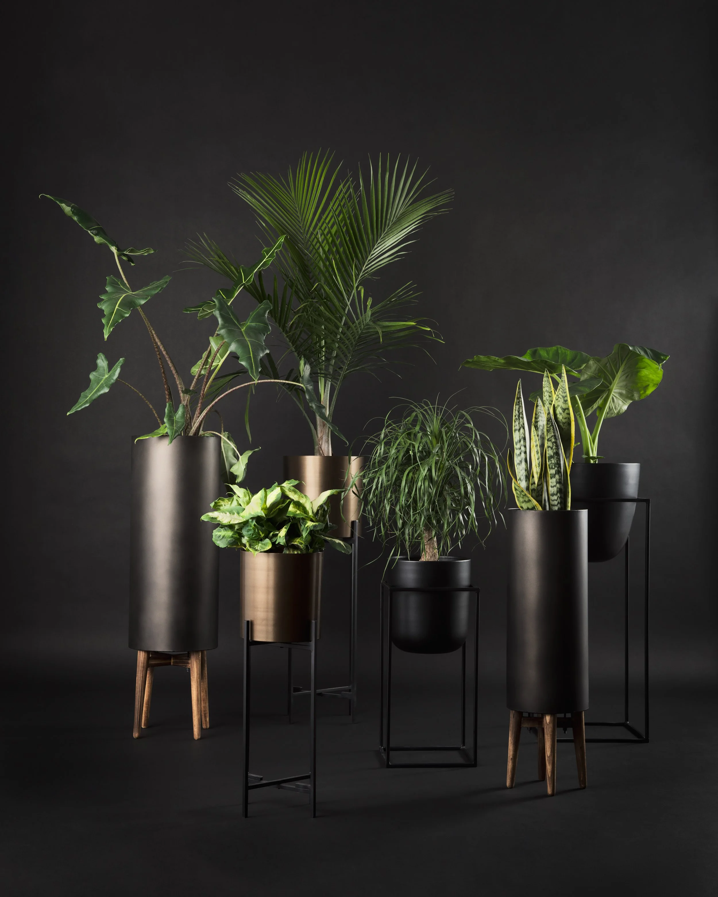 Planter Grouping_096.jpg