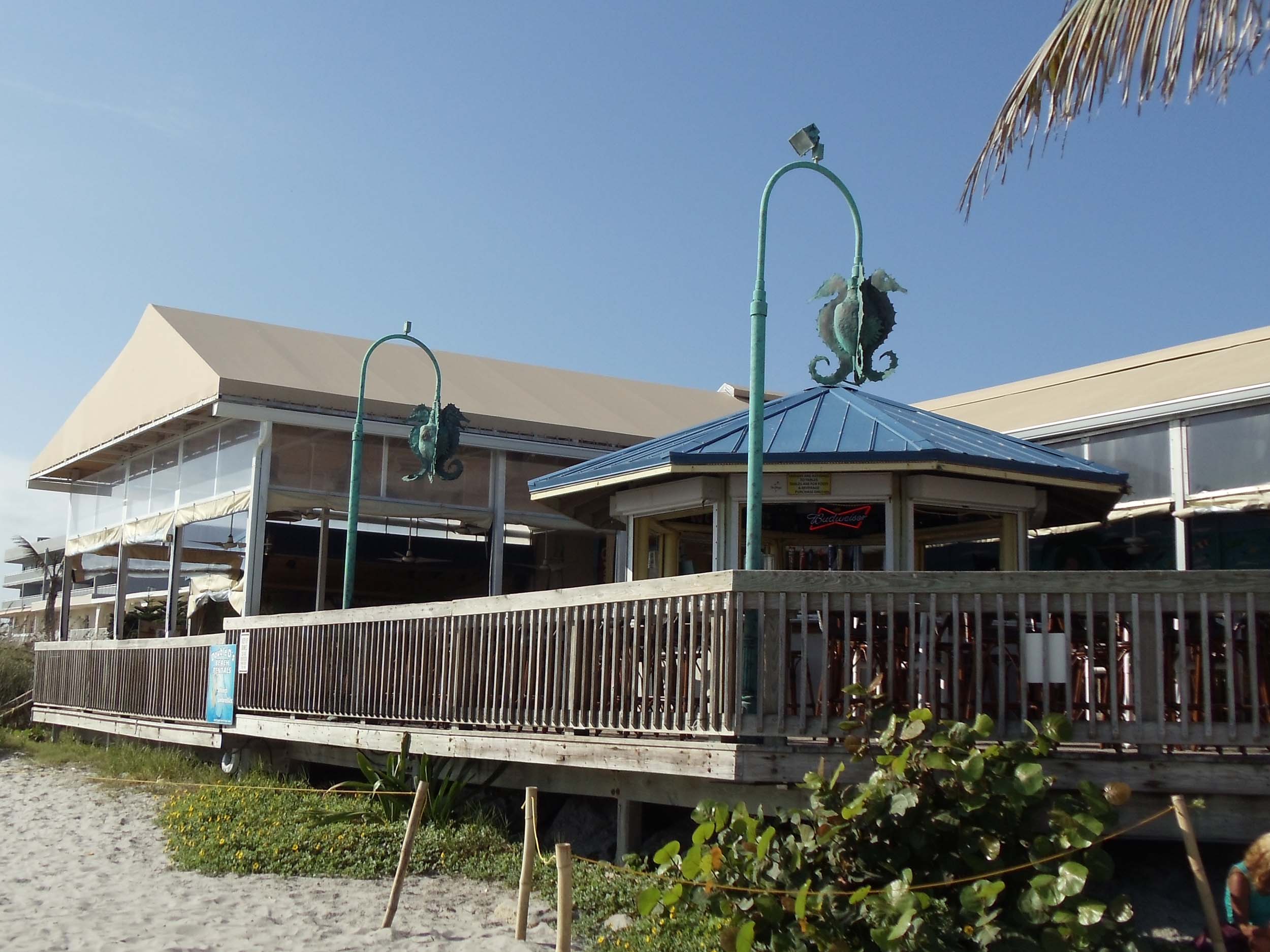 Coconuts on the Beach Exterior Beach Front