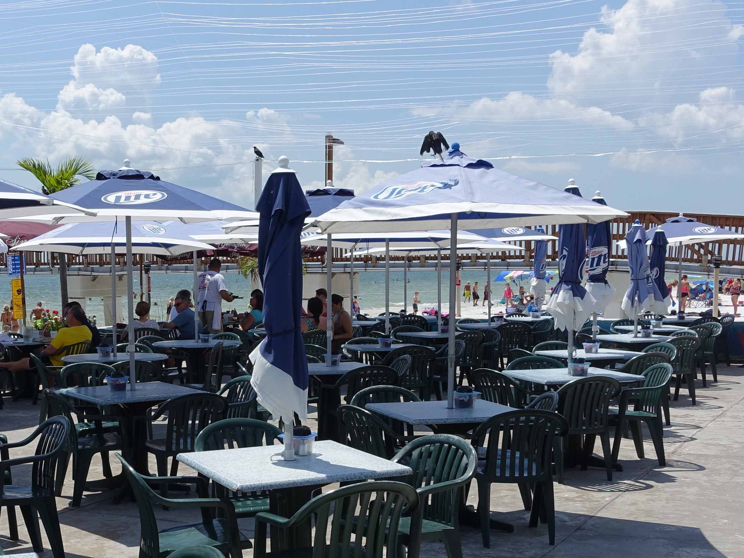 Pierside Grill and Famous Blowfish Bar Seating Area