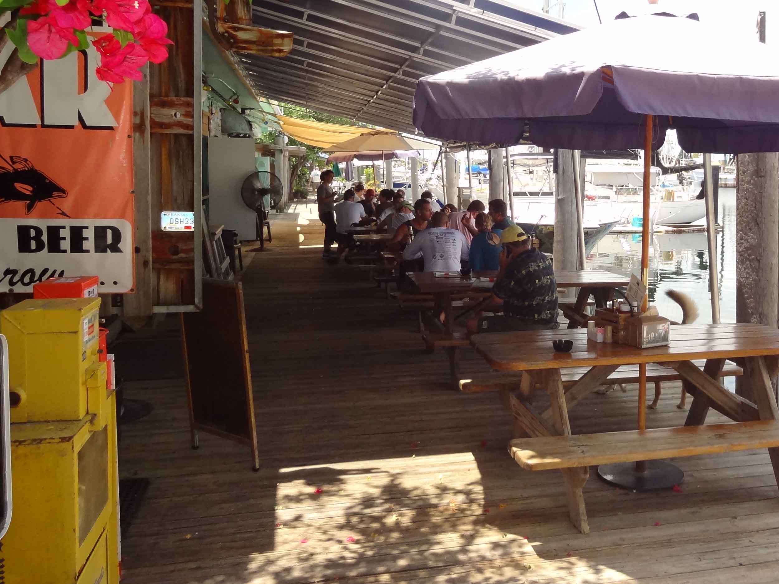 Hogfish Bar and Grill Patio