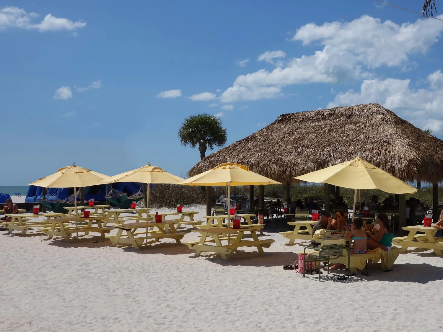 All Beach Bars Florida Beach Bar