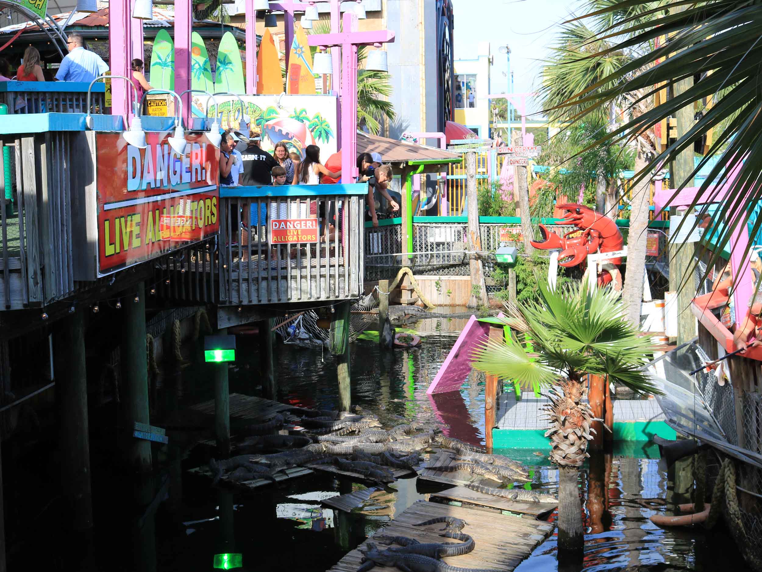 Fudpucker's Alligator Area