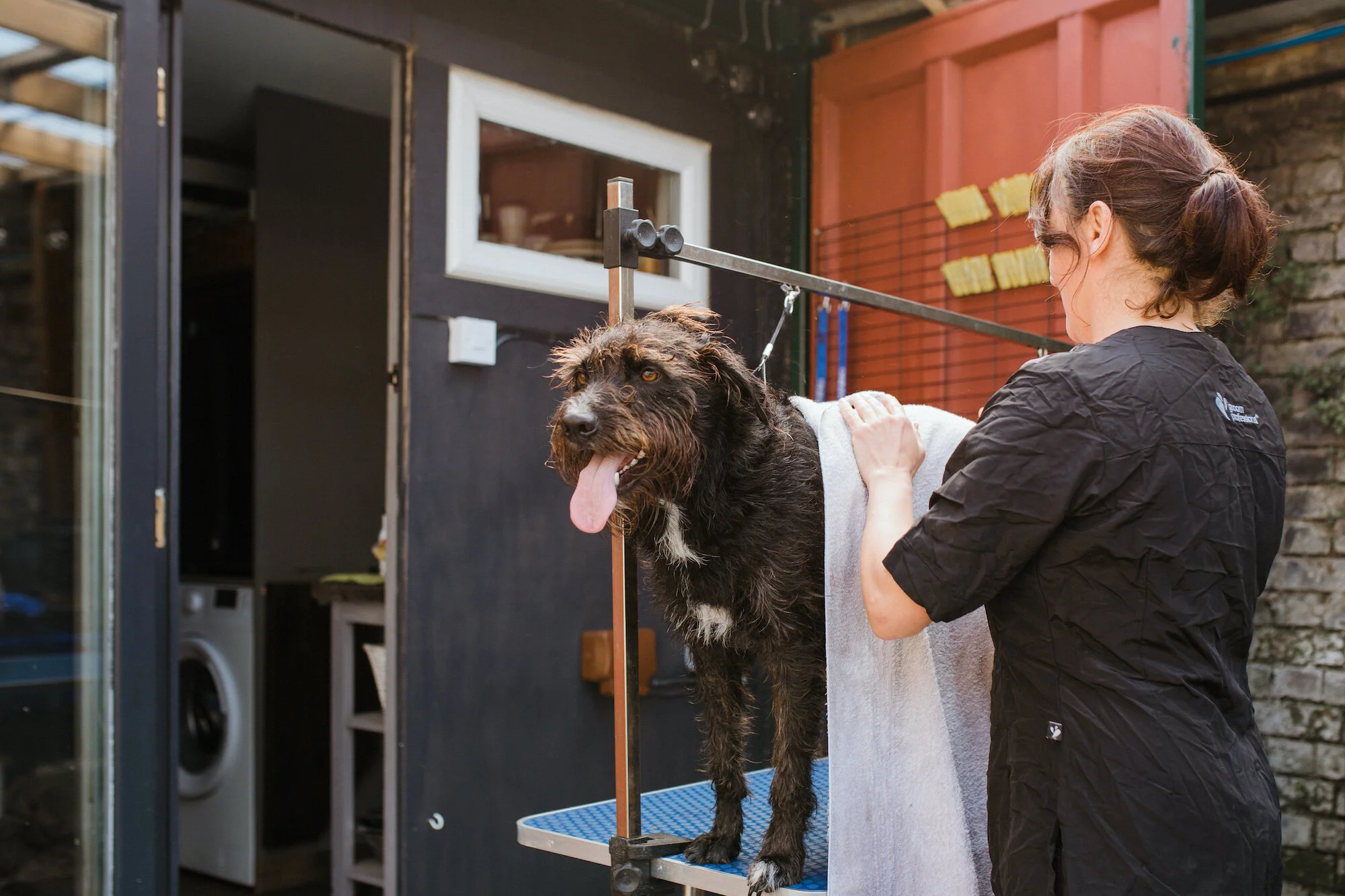waggnbone dog daycare & groomers