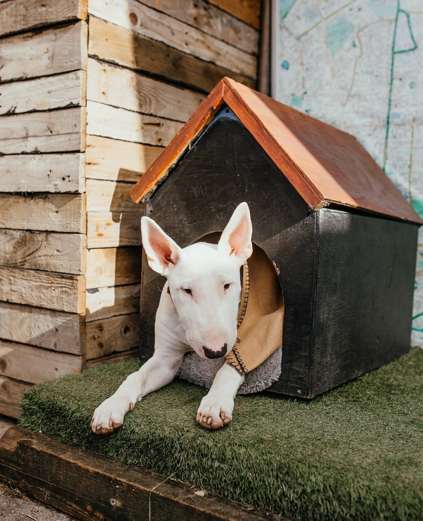 🏡 Does your dog have a safe space at home where they can communicate &quot;I need a break&quot; or &quot;I would like some quite time&quot;?⁠
⁠
If you have other pets or children, your dog may feel sometimes overwhelmed. ⁠
⁠
Or perhaps there are sca