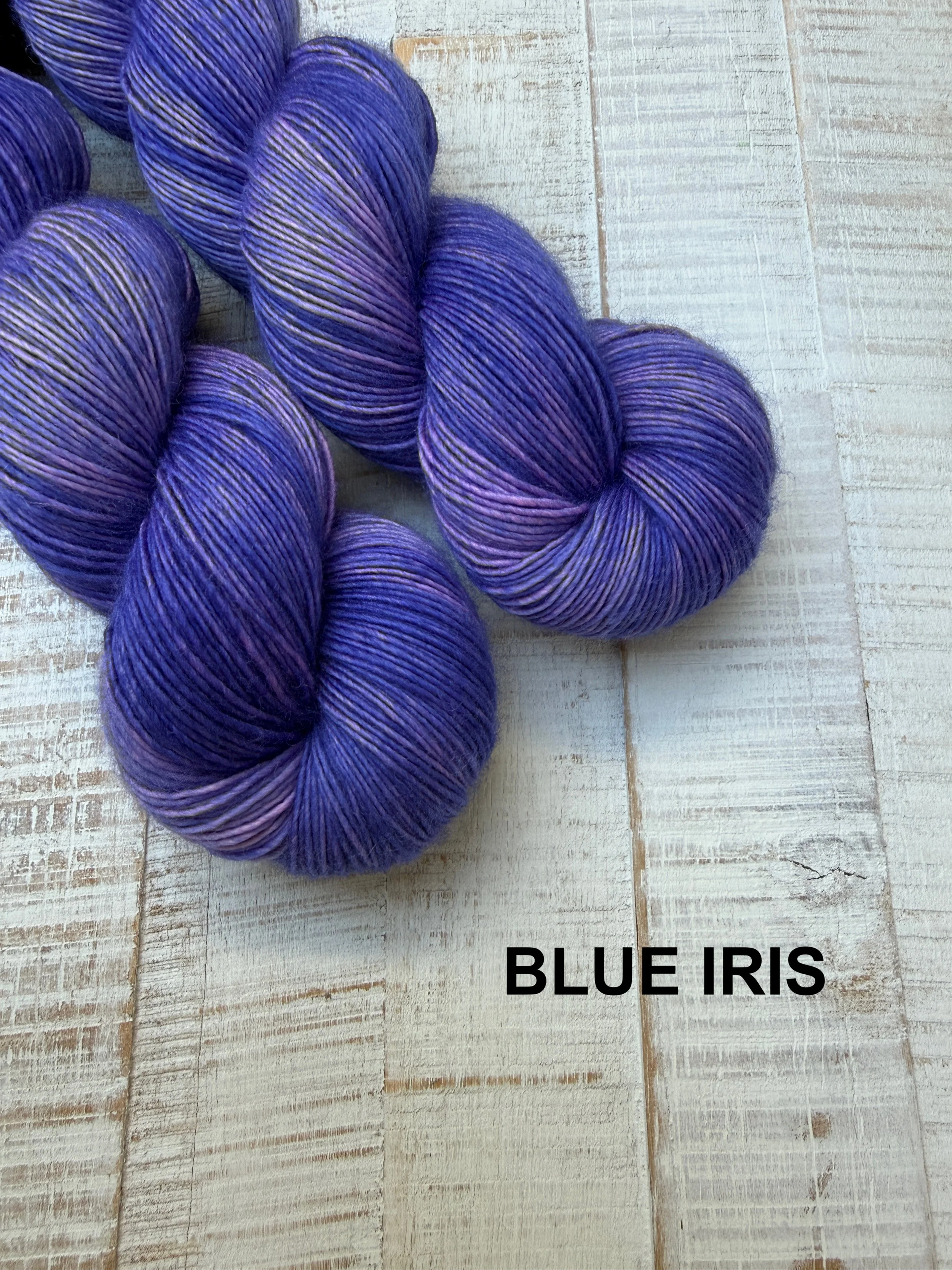 SI BLUEIRIS.JPG