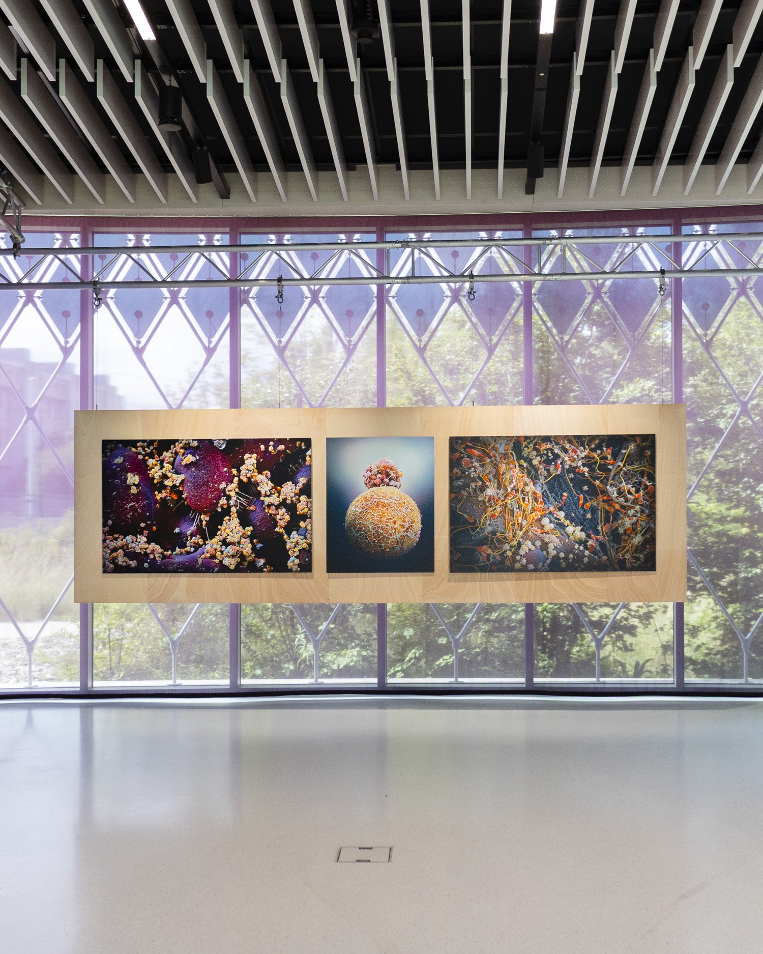 PAVILLON-SONDERAUSSTELLUNG_6II6727.jpg