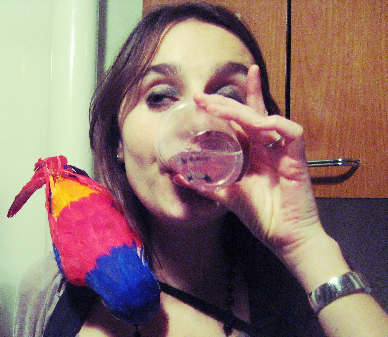 Drunktastic: bien gérer sa soirée de vieille qui se lâche