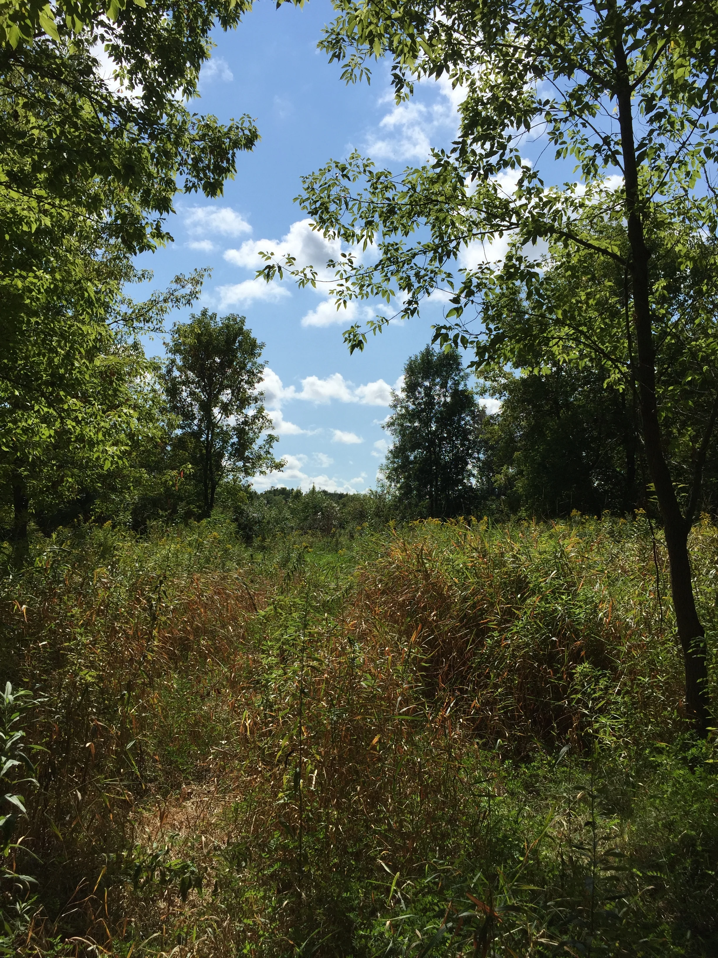 Sheboygan, Wisconsin