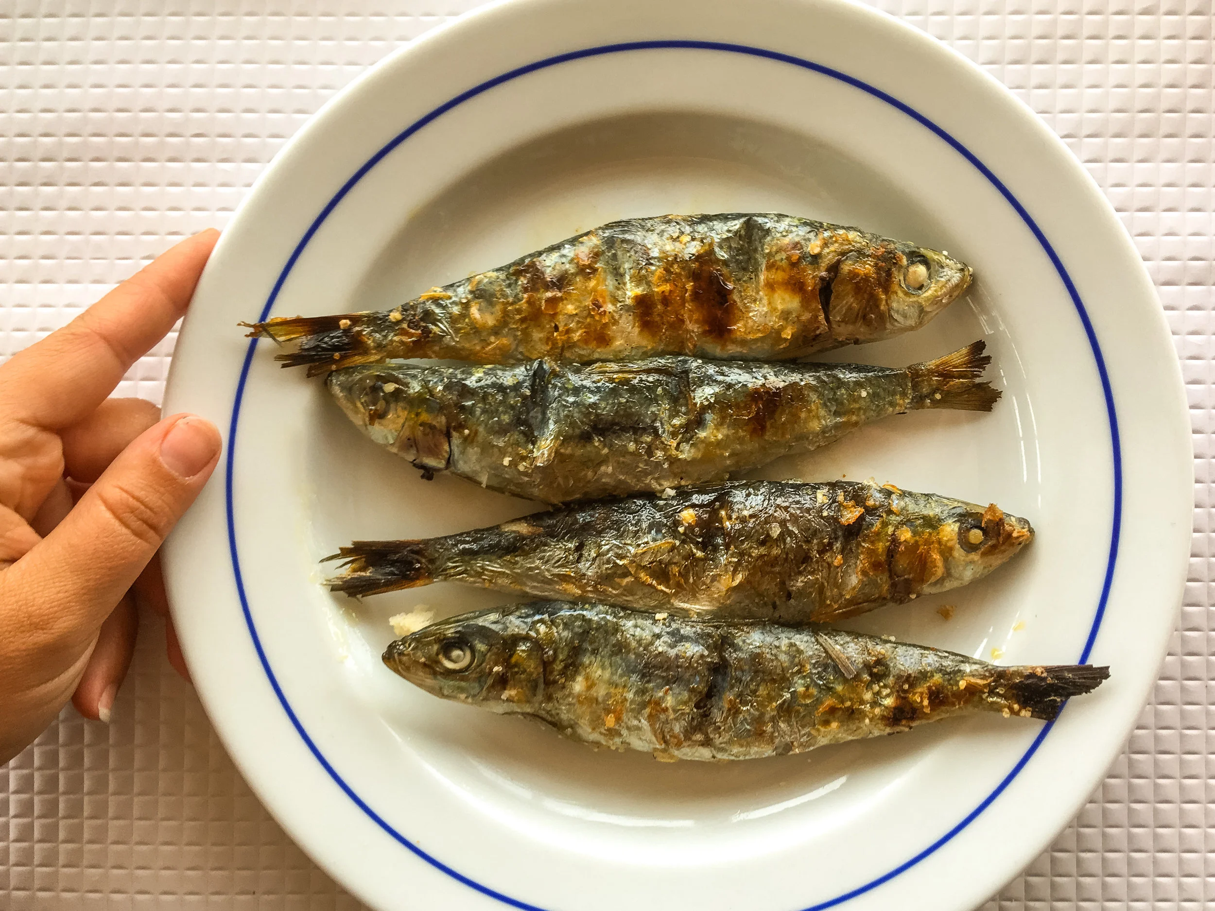 A day in the Alentejo.