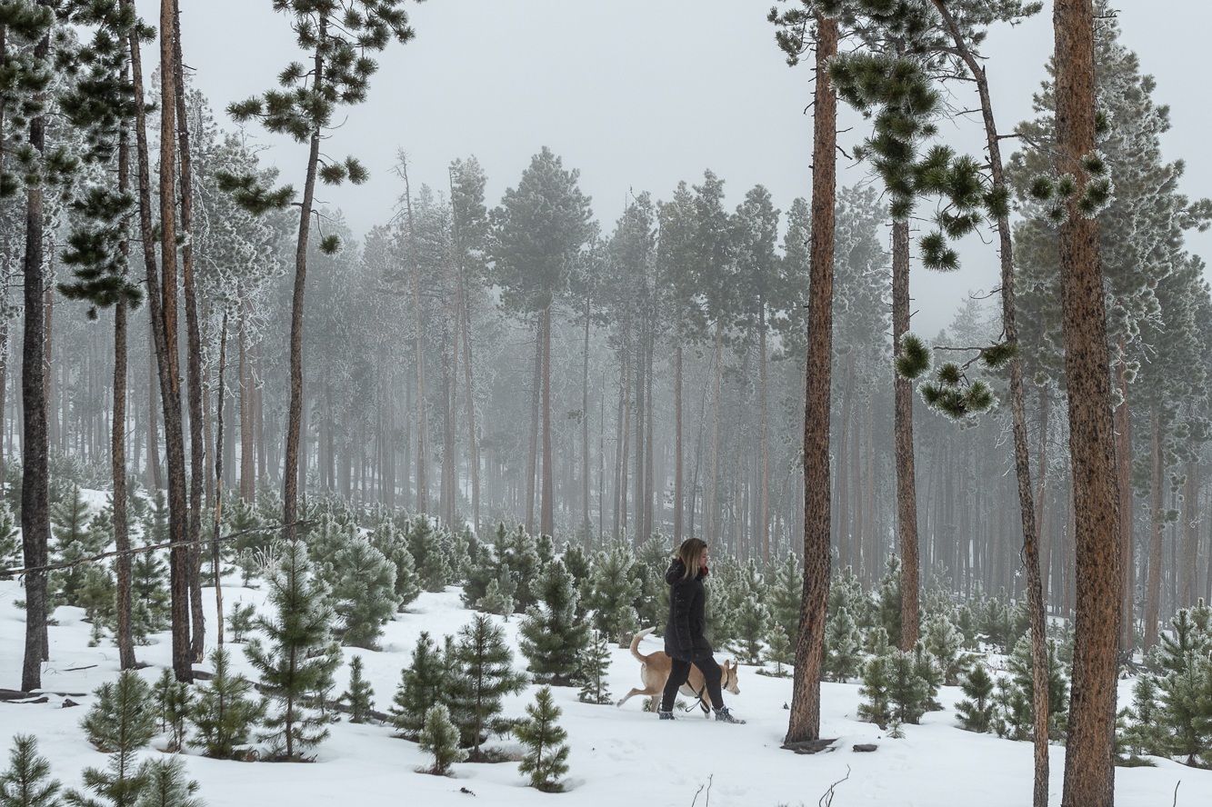 A Walk Behind Our House