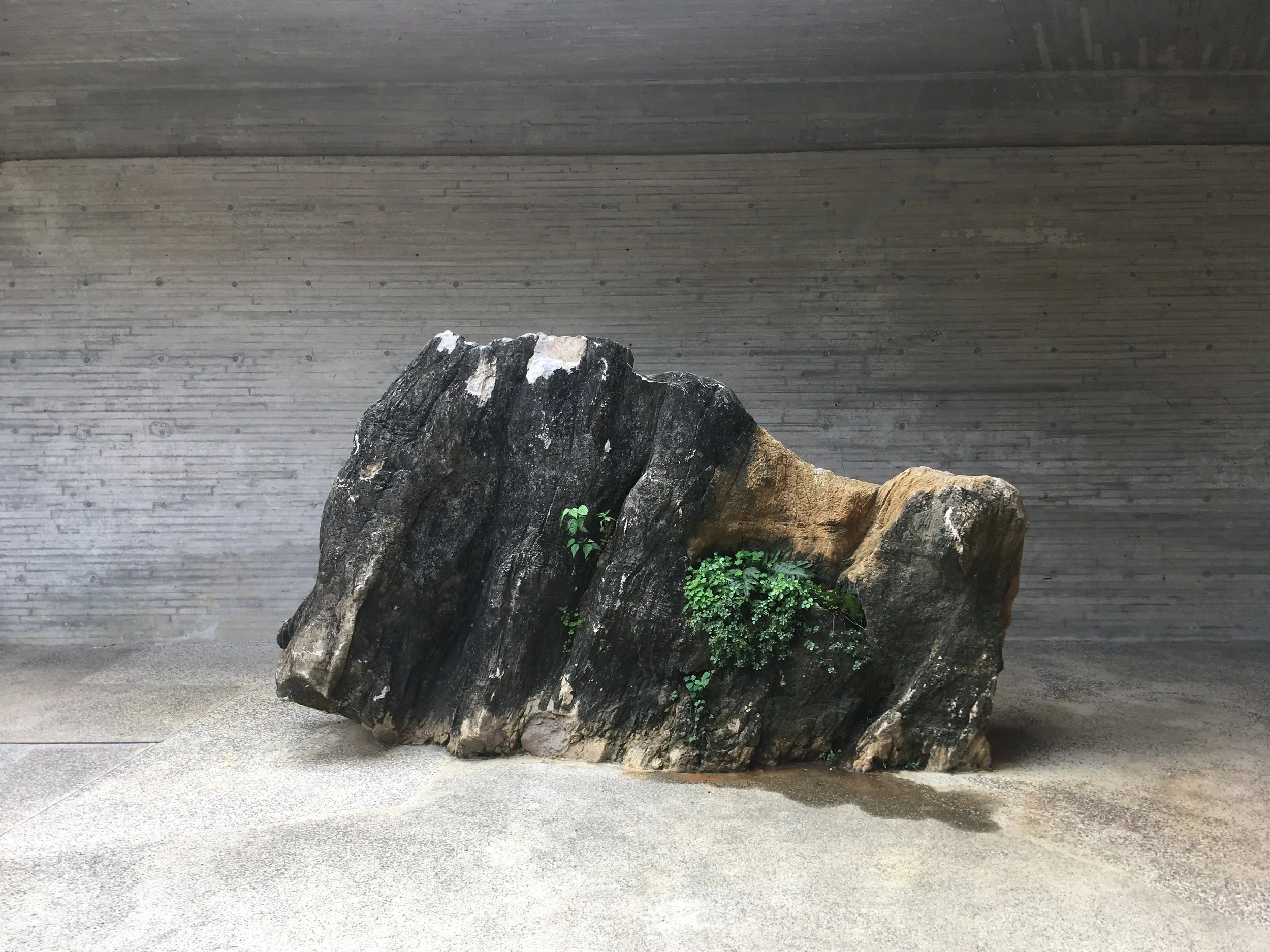 Living in the Mountains