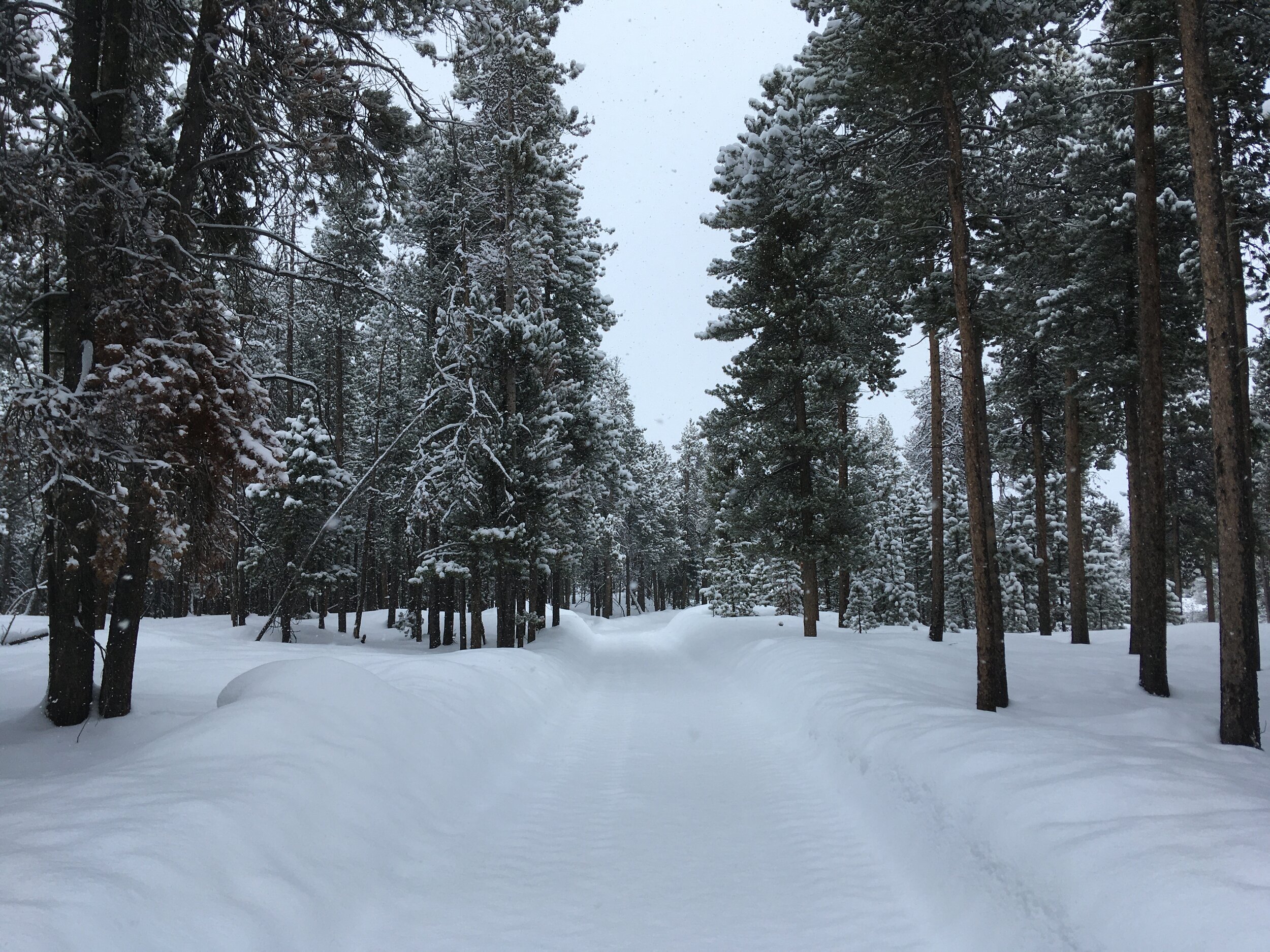 The Things I'll Do for $30