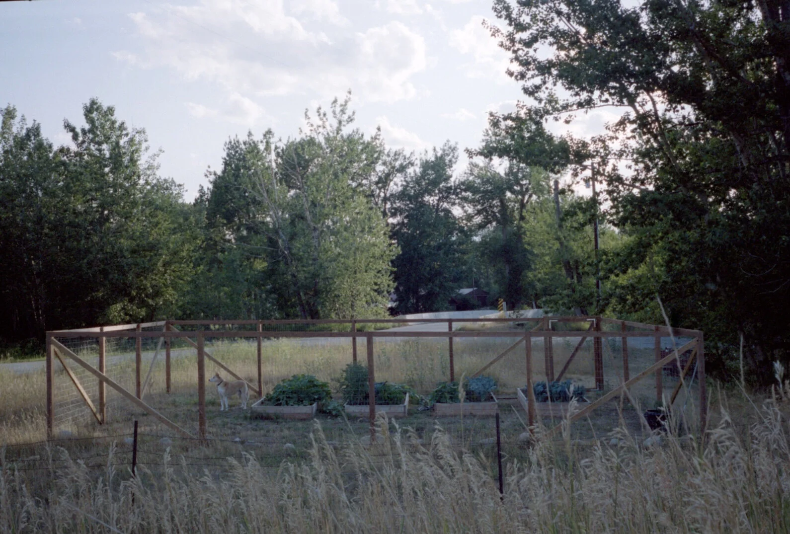 Of course, I should have. 