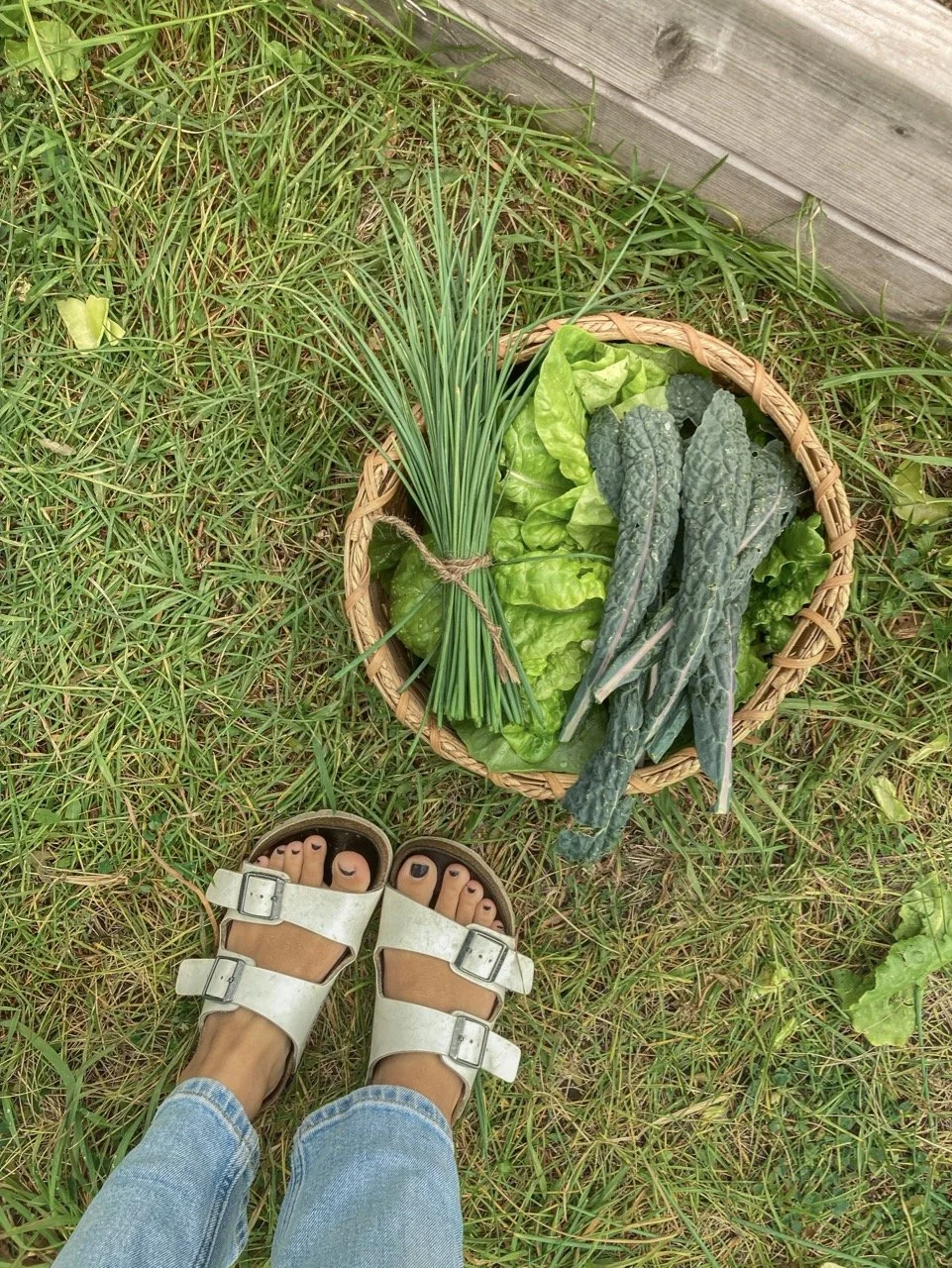 Notes from the garden.