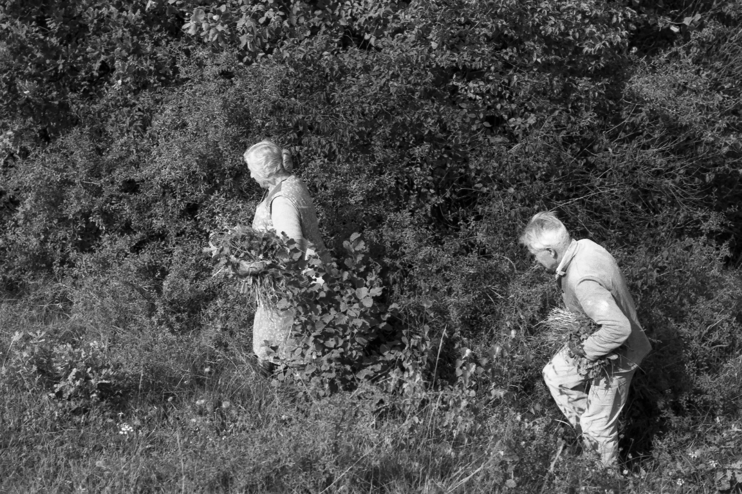 Hecke-Kuni-Johan.jpg