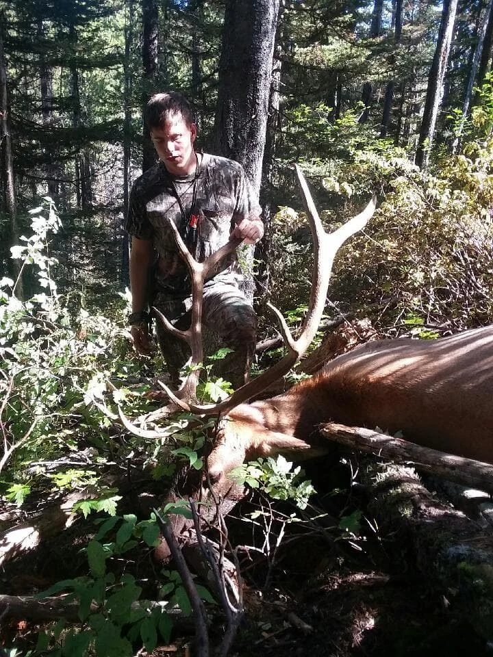Josh Archery Bull 2018.jpg