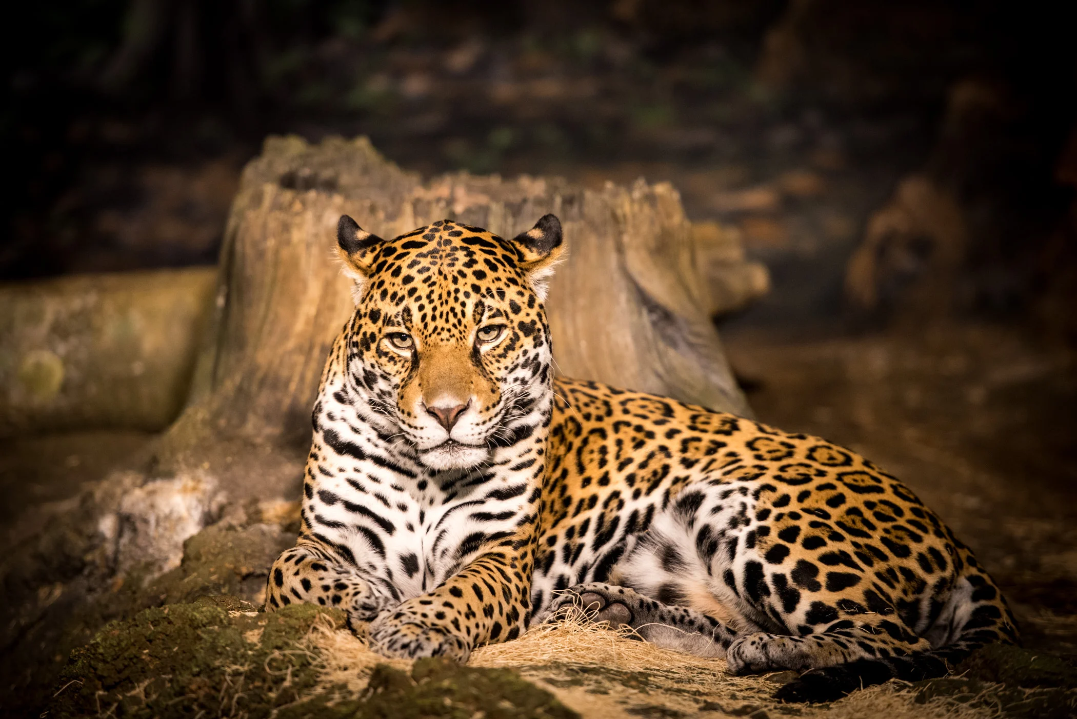 zoo-025.jpg