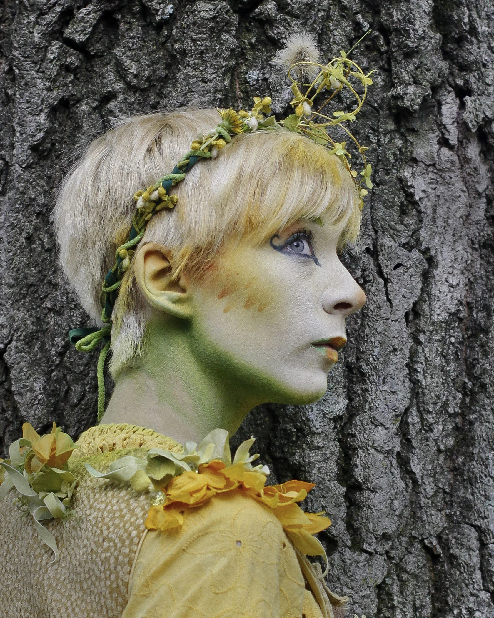 Gallery IIFaire Nymph 14 232.jpg