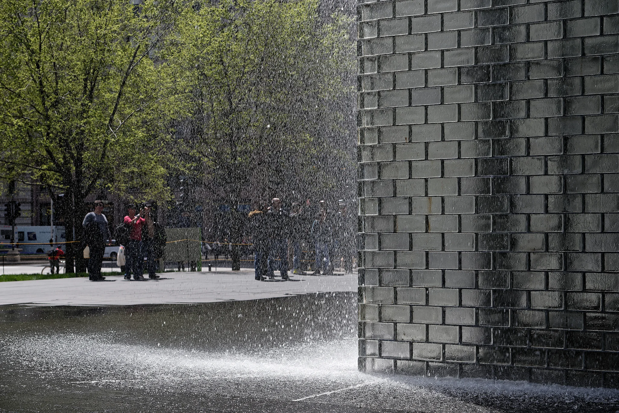 DSC_1365_DxO.jpg