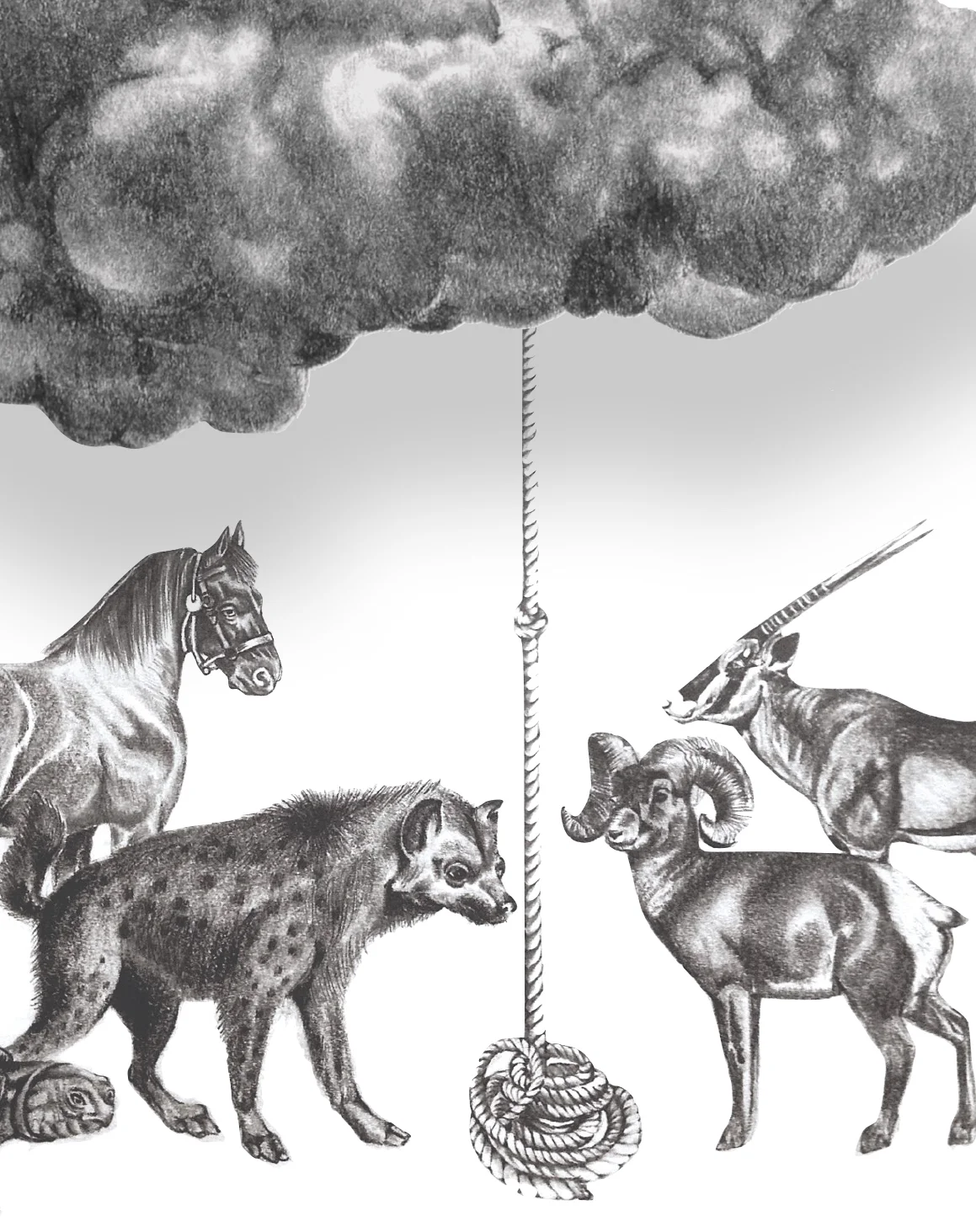 Cloud Card PDF-15 copy 2.jpg