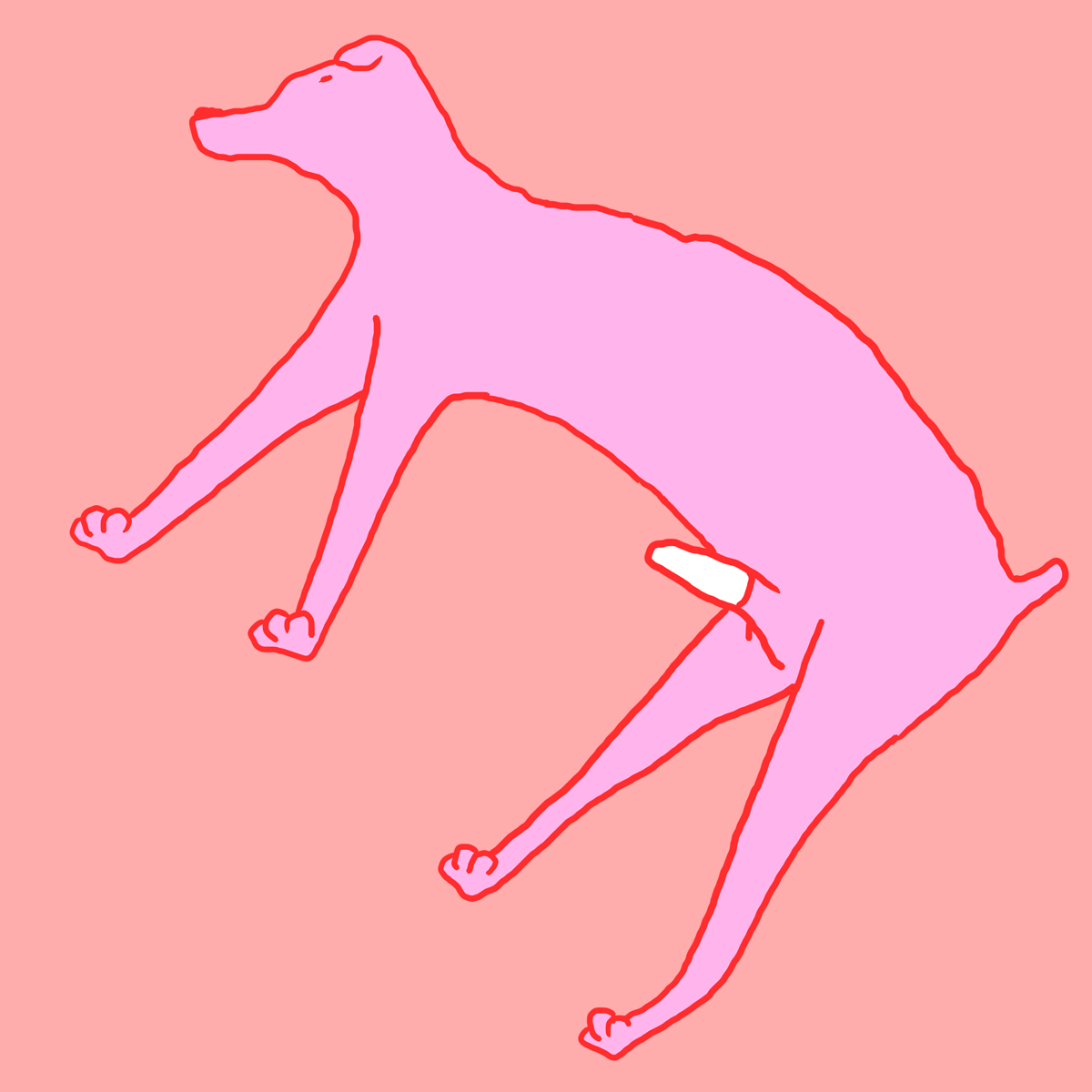 dognis.gif
