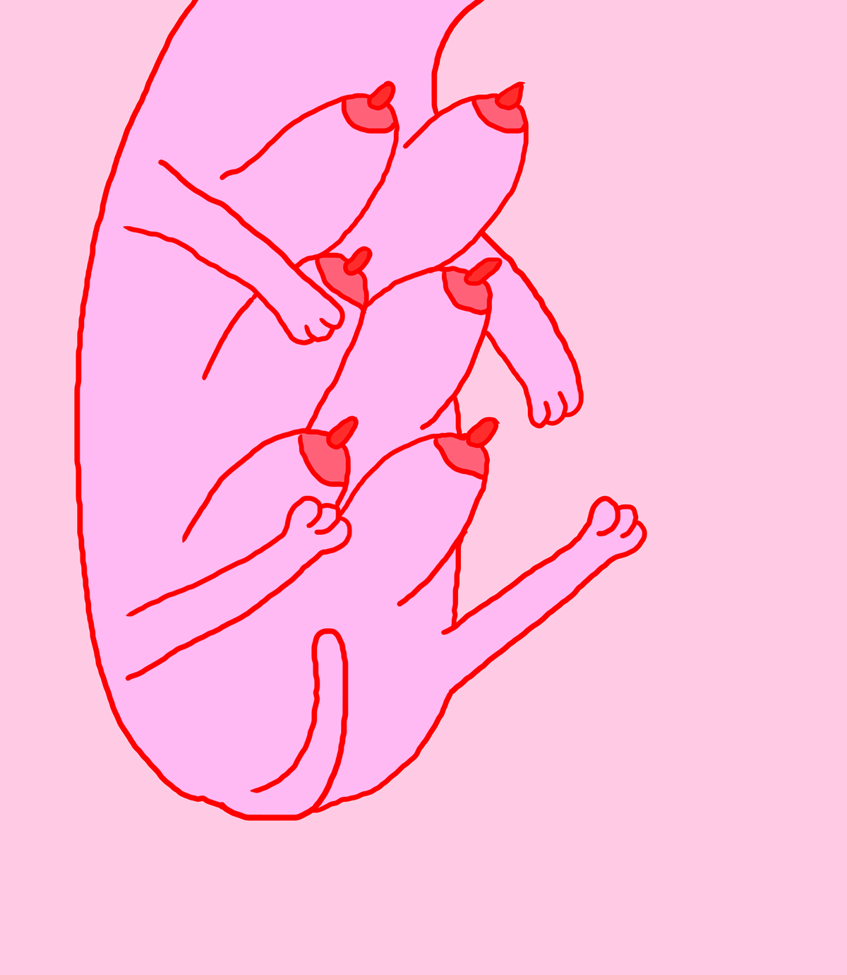 catnips.gif