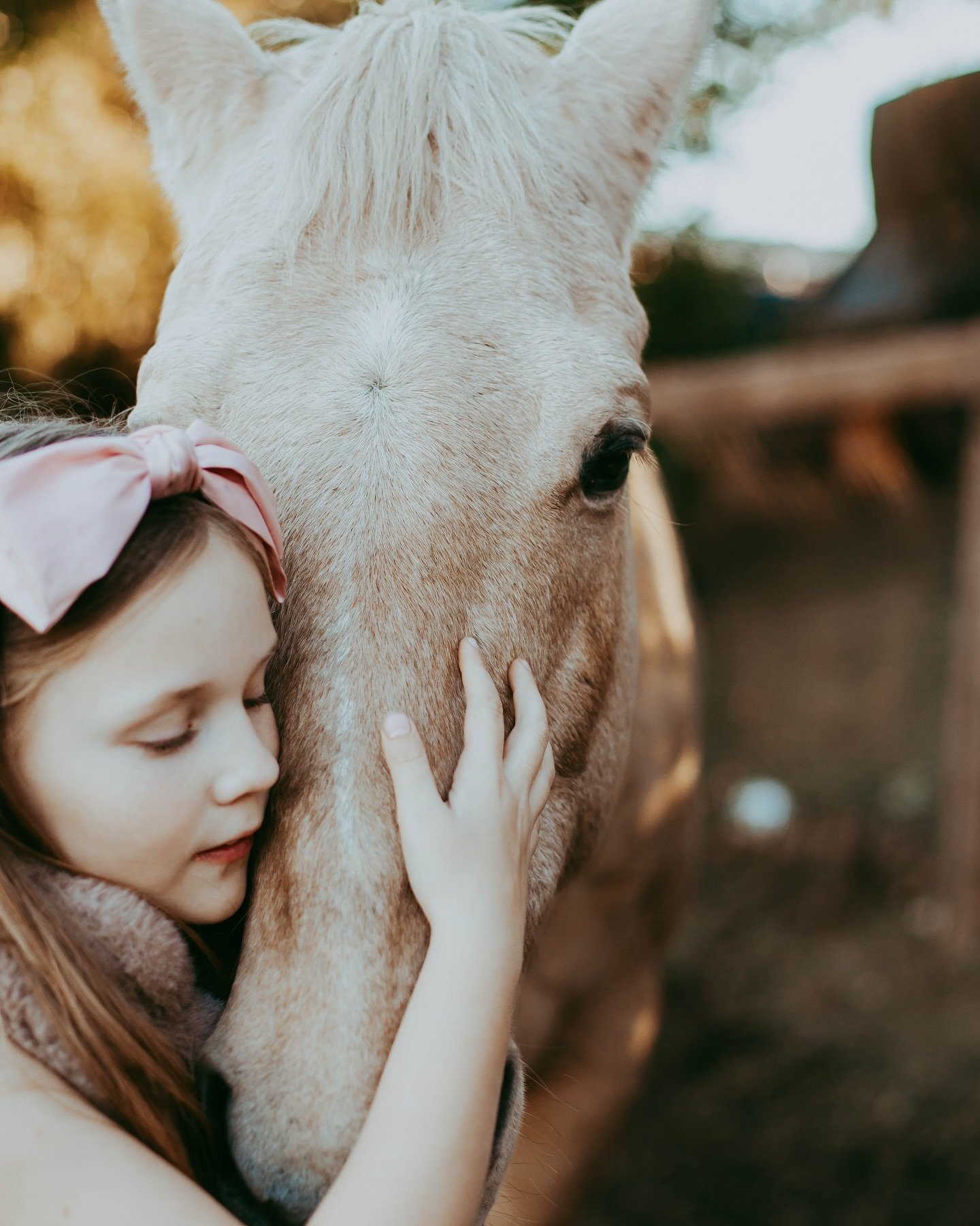 My mini session calendar for the Fall/Holiday is available for booking.  If you are wanting something more intimate, I have room for a handful sessions like this one where I can to your home or in this case stables. Email to book.