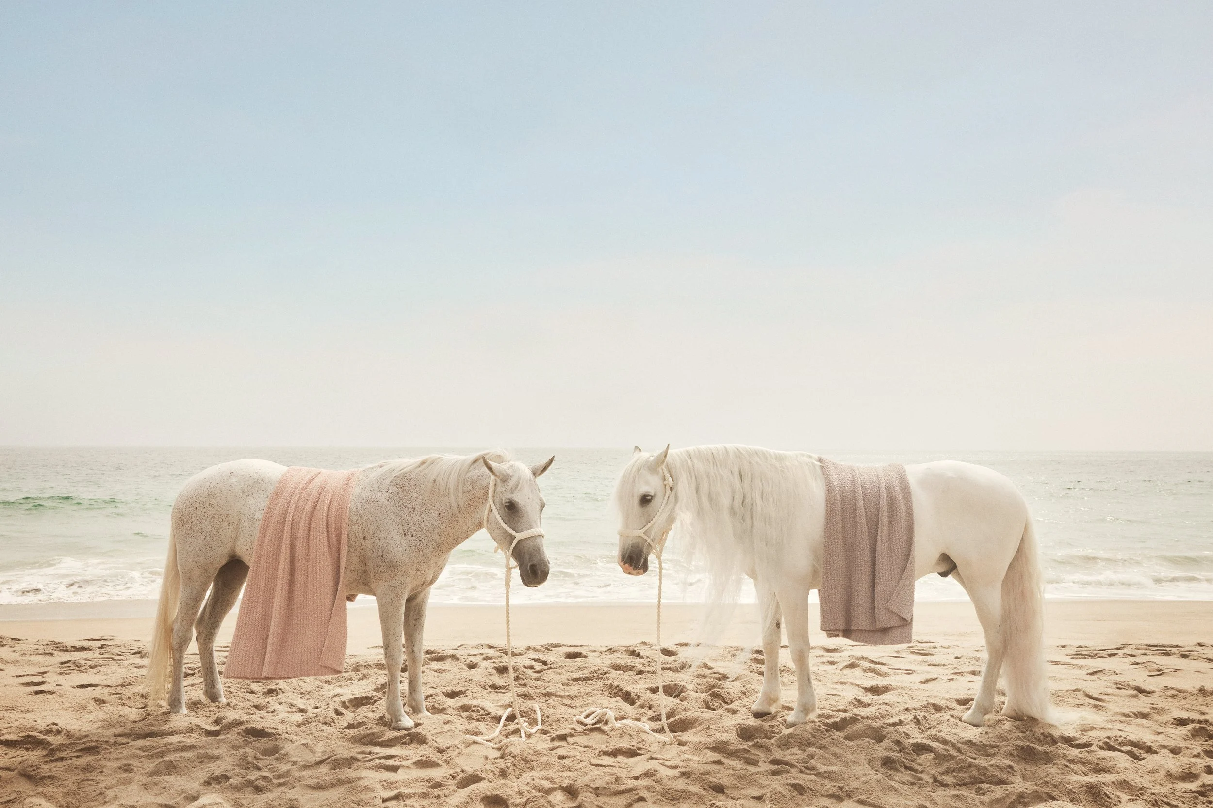 18_BFD_HOL25_ML_BLANKET_HORSE_2127.jpg