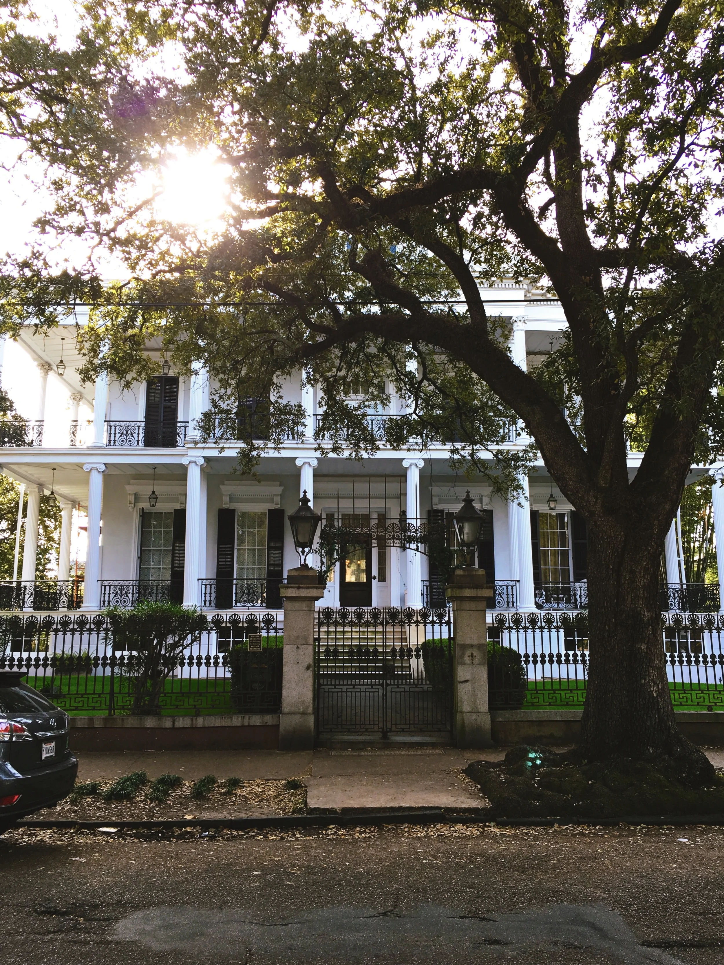 Flower District, New Orleans, LA | November 15, 2015