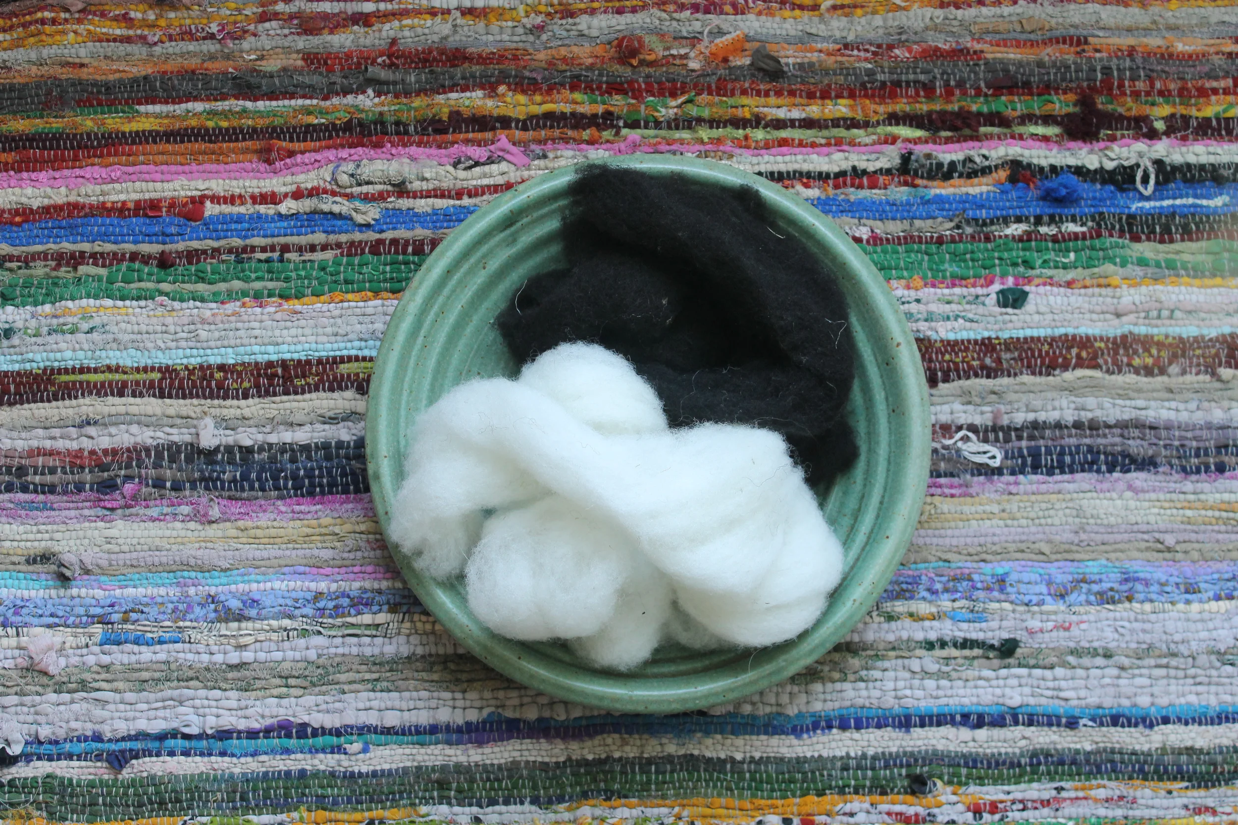 Black Welsh Mountain and Clun Forest Roving