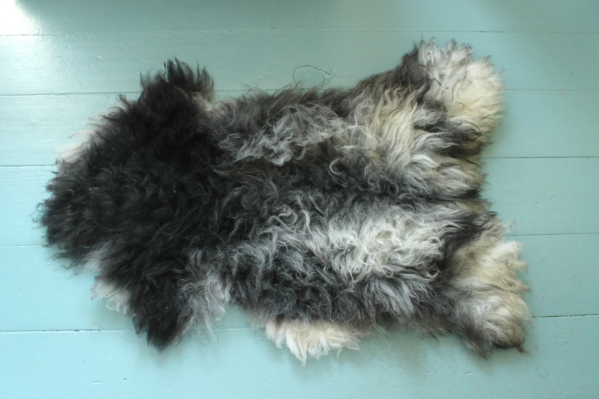Shetland Lamb Pelt
