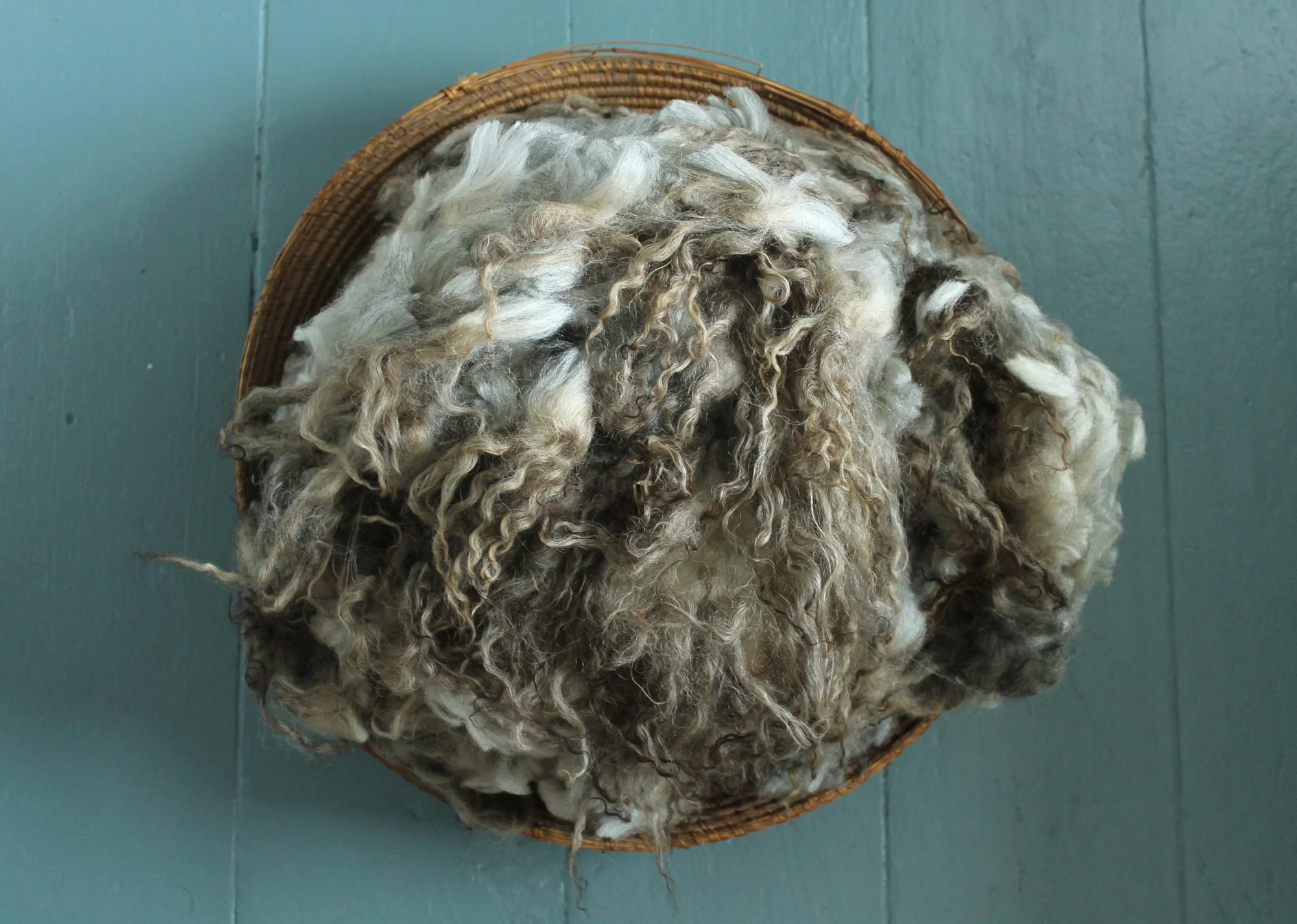 A Variety of Lamb Fleeces ( raw)