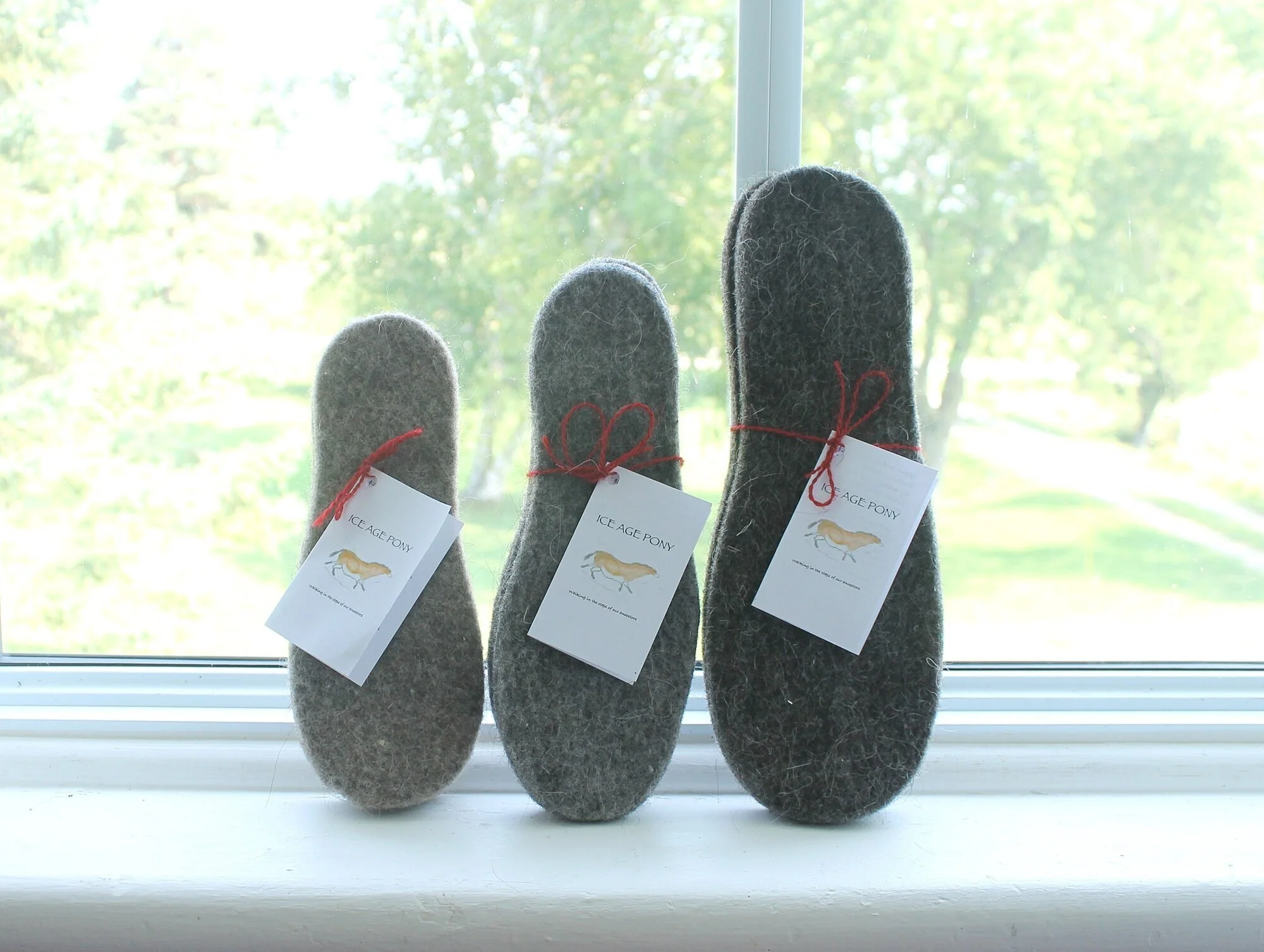 Ice Age Pony Insoles