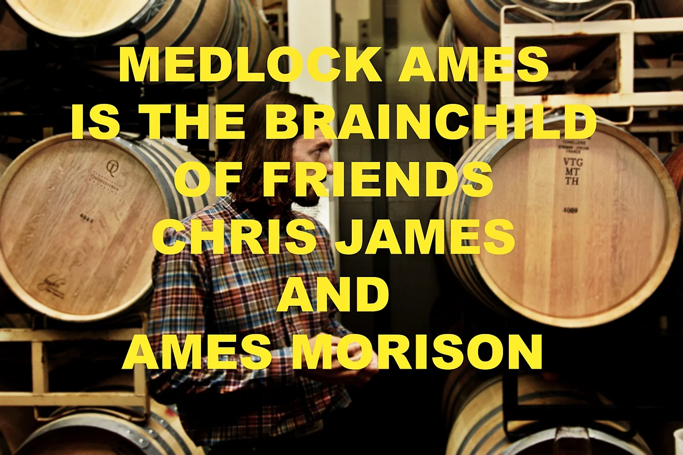 Kitchen in Season_Medlock Ames_7 copy.jpg