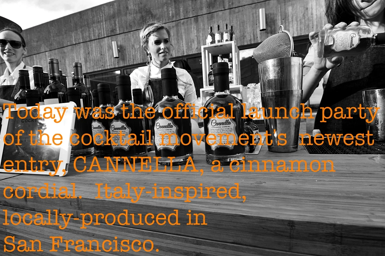 Joe Cannella_kitchen in seasonJoe Cannella_kitchen in seasonIMG_5987 copy.jpg