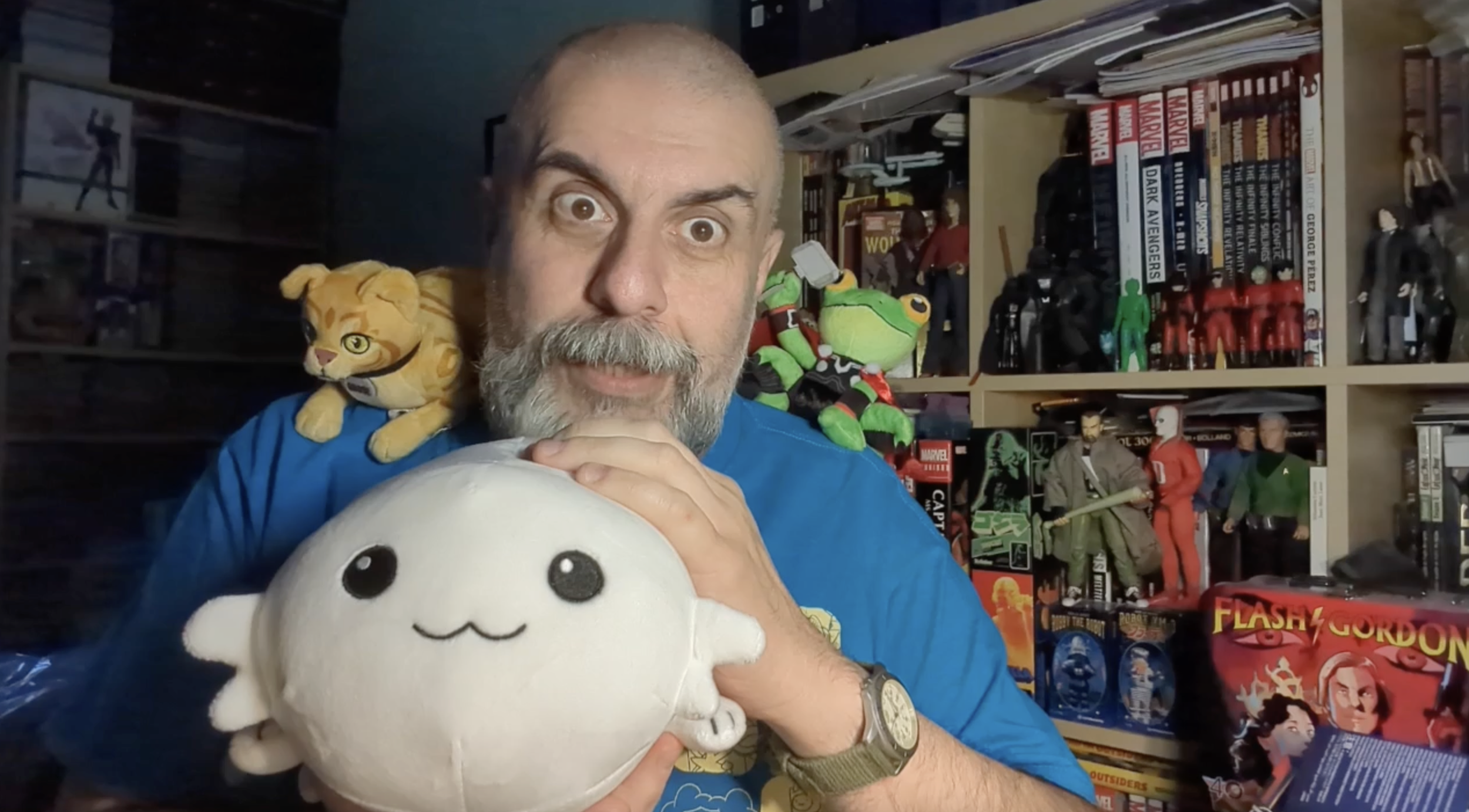 Plushies! Star Trek - Moopsy and Marvel - Thor the Thunder Frog and Goose the Cat! | Bruno's Boxes