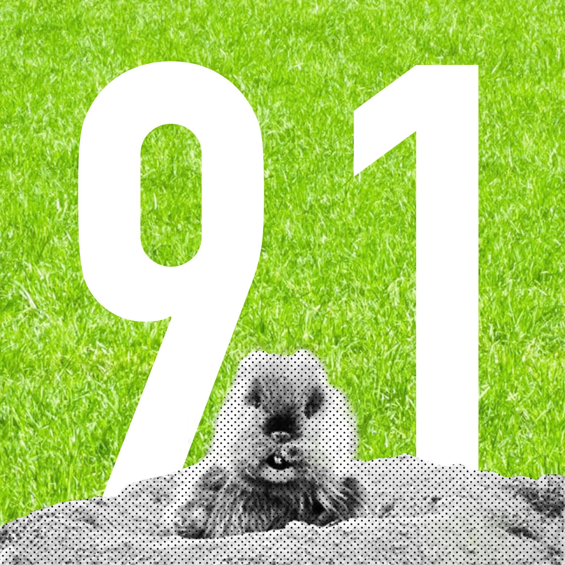 Episode 091 - Caddyshack