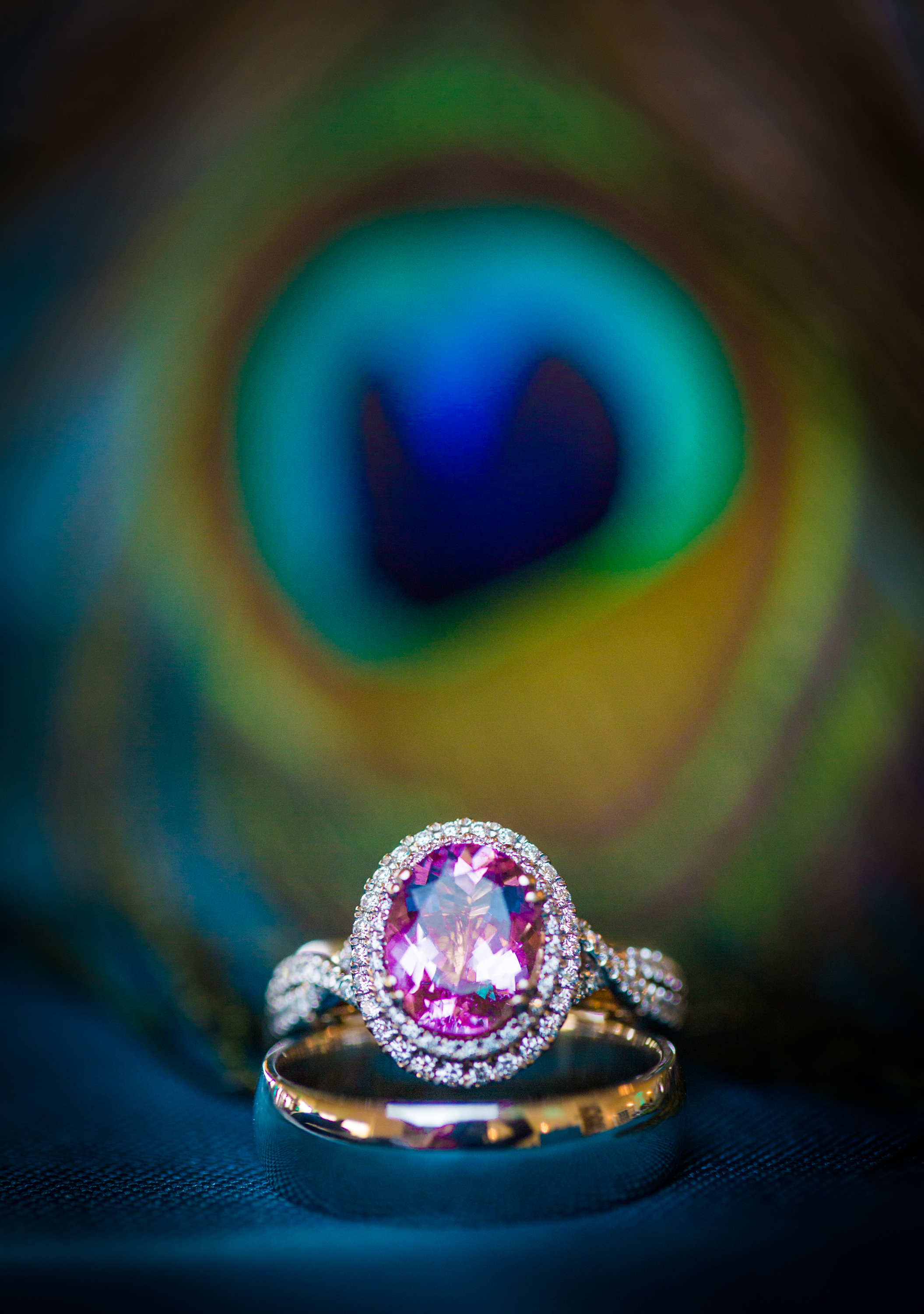 Wedding ring posed against a peacock feather in the background. Peacock feathers were used in the centerpieces of the guest's tables during the reception.