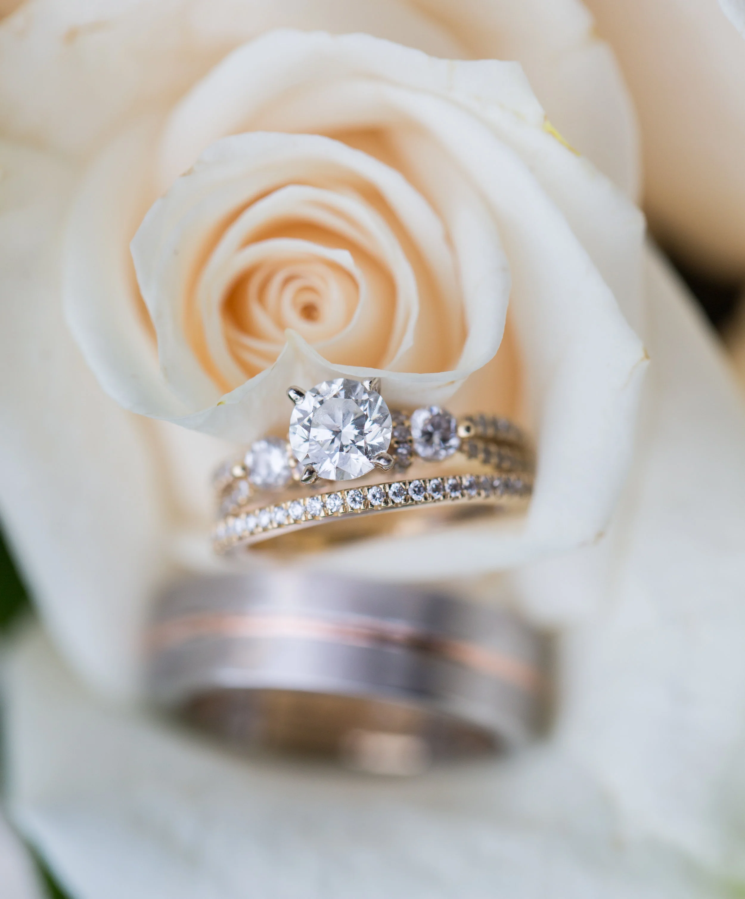 Wedding rings placed in one of the white roses in the bridal bouquet.
