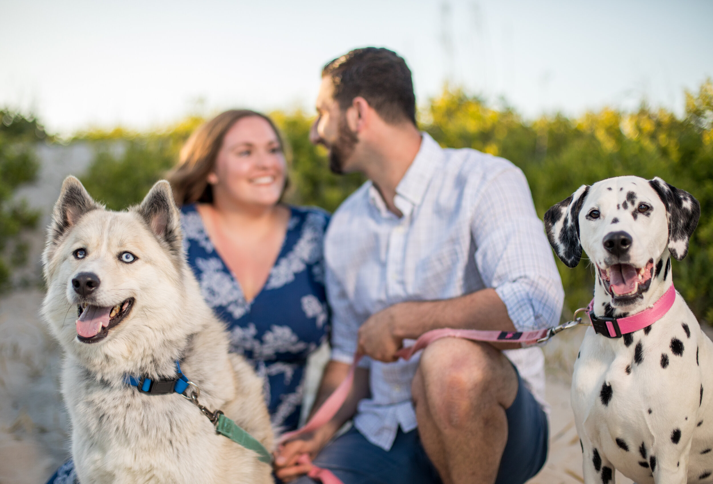 Photo of a young couple on the beach at Assateague with their two dogs during their Maryland engagement session  taken by wedding photographers in Baltimore ARWhite Photography (Copy)