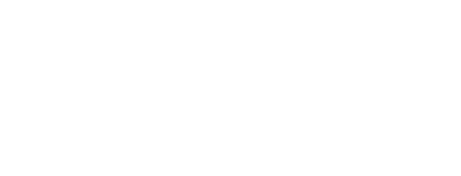 The Space Brigade