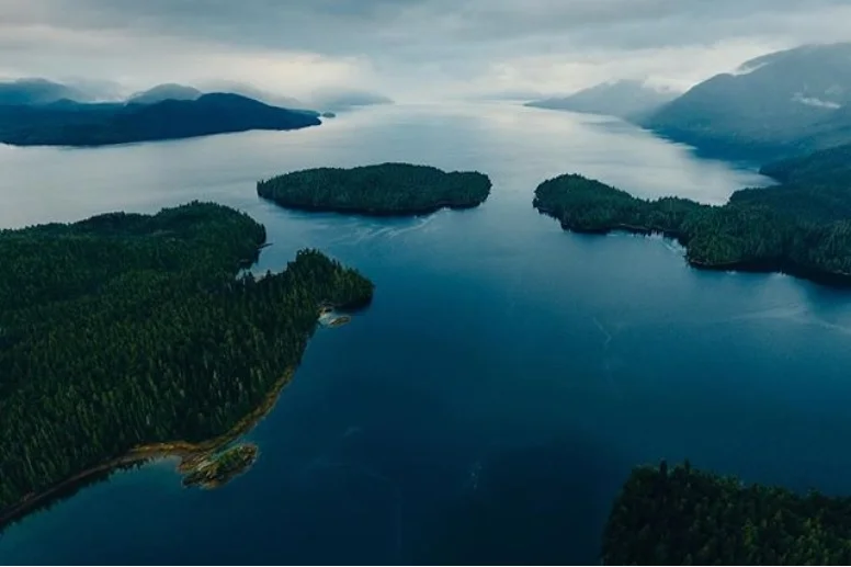 Great Bear Rain Forest, BC, Canada. Photo by Owen Perry